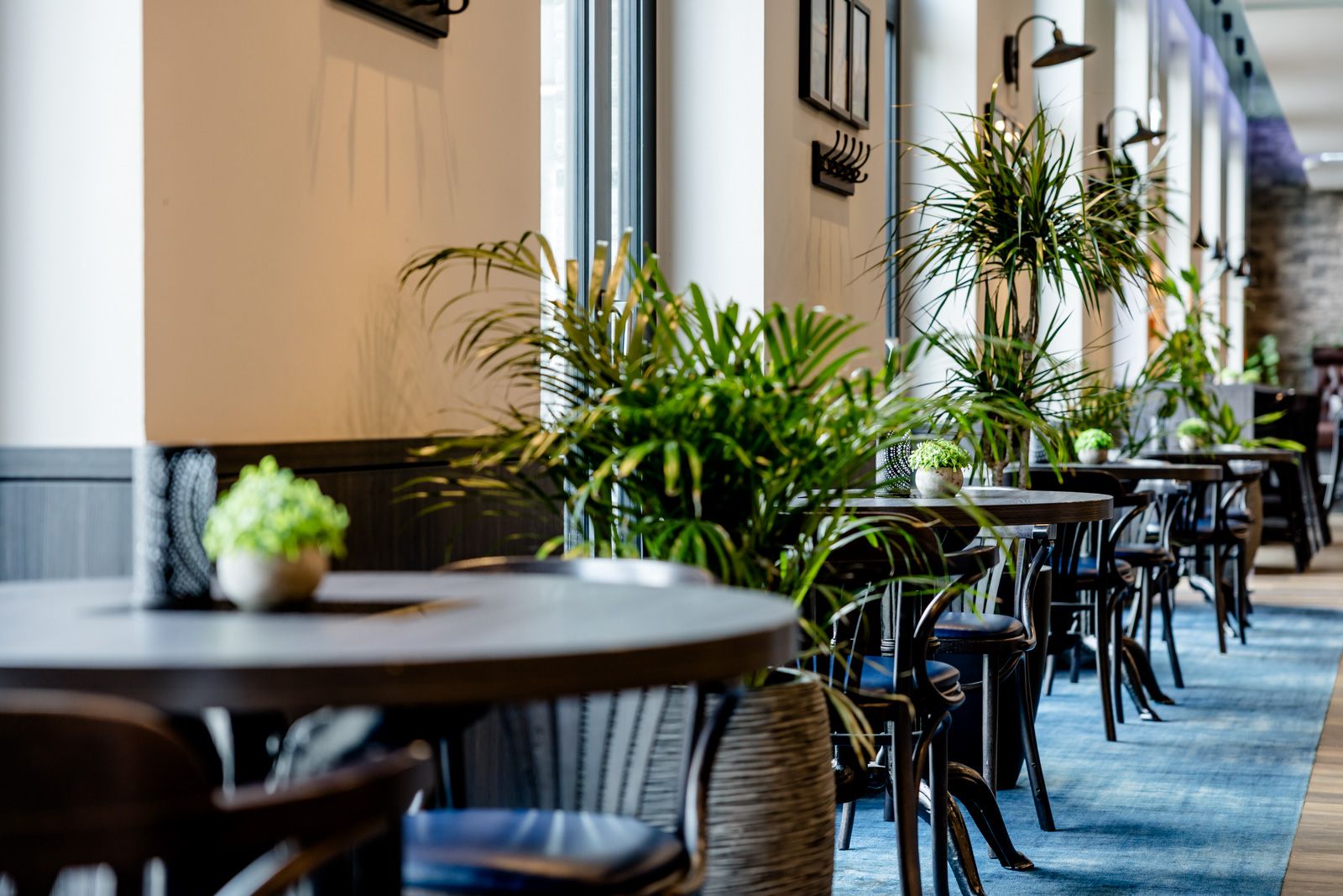 Heller, moderner Hotelgang mit runden Tischen und Stühlen, dekoriert mit grünen Pflanzen, schafft eine einladende Atmosphäre zum Entspannen und Verweilen.