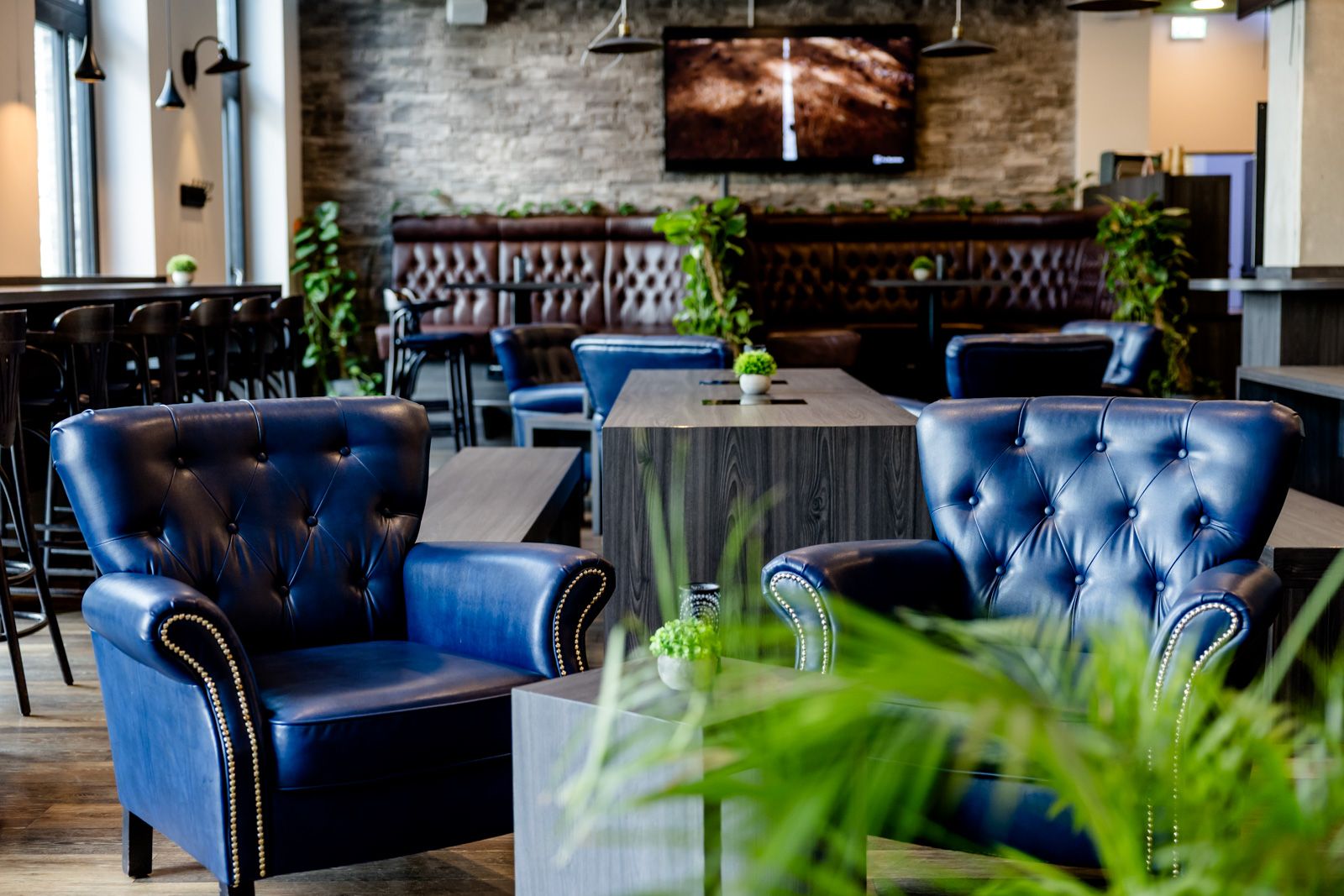 Gemütliche Lounge mit blauen Lederfauteuils, modernen Holztischen und grünen Pflanzen, die eine einladende Atmosphäre zum Entspannen und geselligen Beisammensein schaffen. Hintergrund mit dunklem Ledersofa und warmem Licht.
