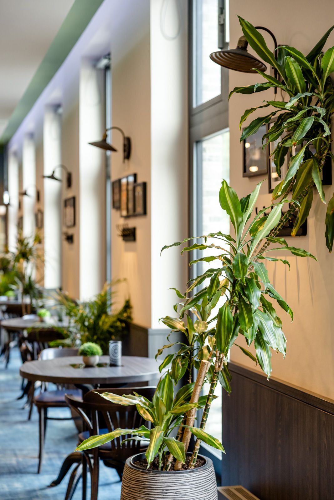 Helle Café-Lounge mit großen Fenstern, grünen Pflanzen und gemütlichen Holztischen mit Stühlen, die eine einladende Atmosphäre für entspannte Stunden schaffen.