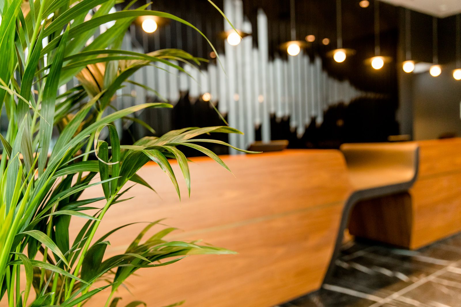 Designhotel Köln Messe Motel One Rezeption mit Fokus auf große grüne Pflanze im Vordergrund