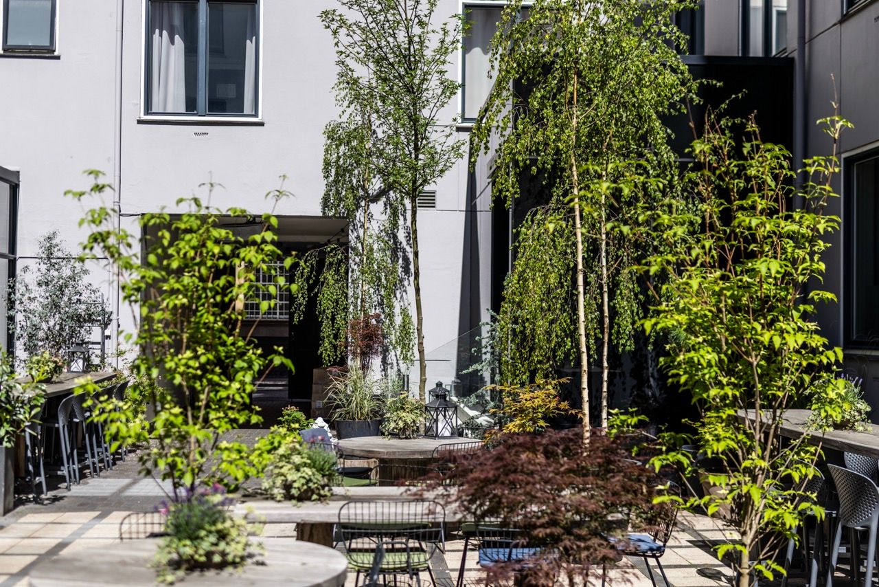 Innenhof mit moderner Sitzgelegenheit, umgeben von grünen Bäumen und Pflanzen, ruhige Atmosphäre zwischen zeitgenössischen Gebäuden, ideal zum Entspannen im Freien.