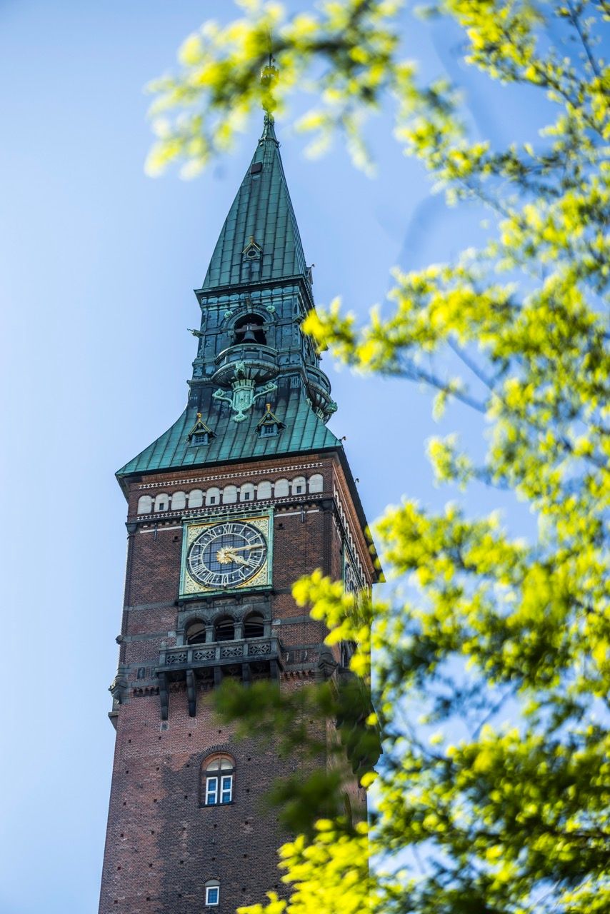Historischer Turm mit Uhr und spitzem Dach, umgeben von grünem Blattwerk, vor klarem blauem Himmel.