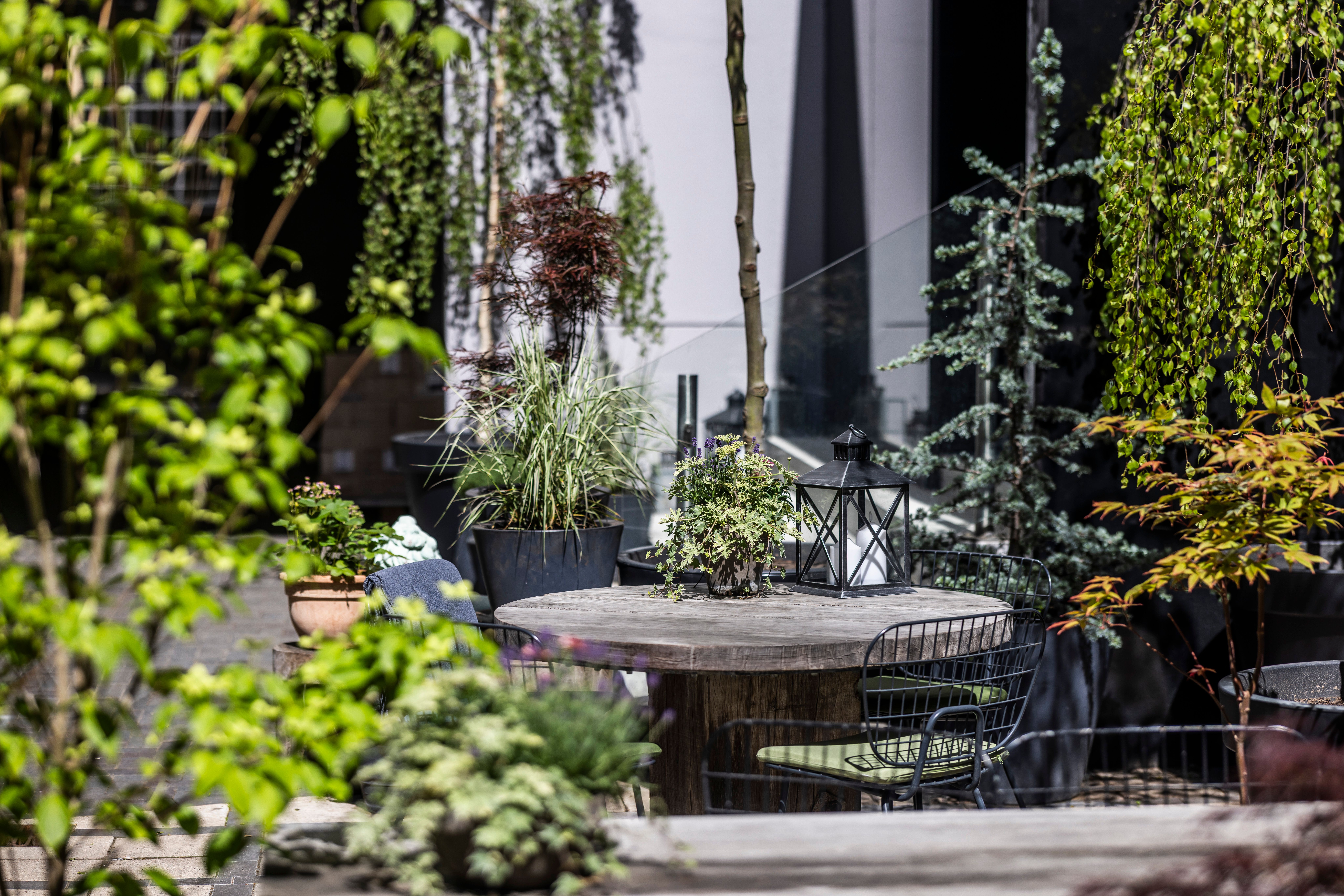 Gemütliche, sonnige Außenterrasse mit rundem Holztisch, Pflanzenarrangements und moderner Sitzmöbel, ideal für entspannte Momente im Grünen.