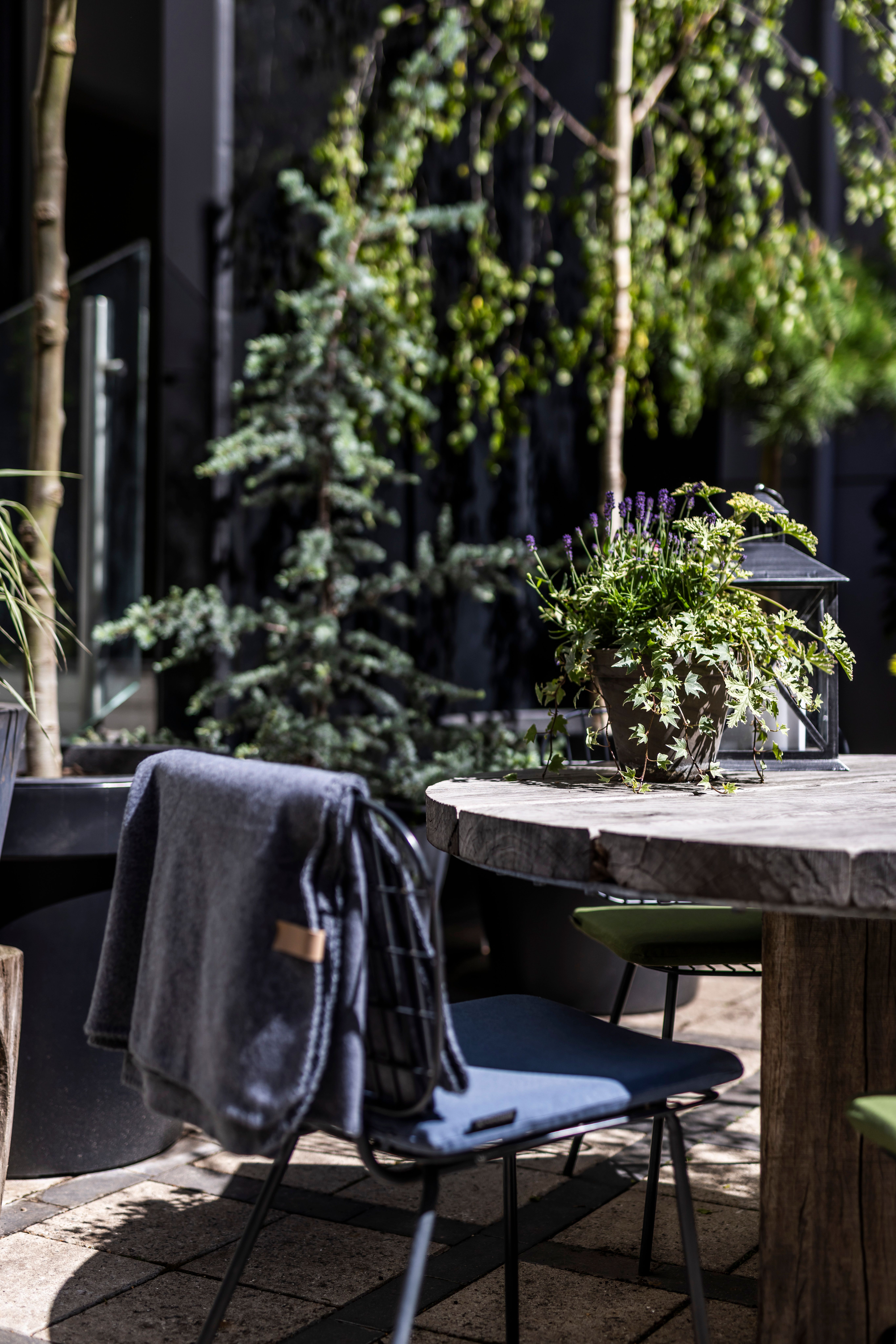 Gemütliche Outdoor-Sitzecke mit rundem Holztisch, dekorativer Pflanze und Stuhl mit Decke, umgeben von grünen Bäumen, bietet ruhige Entspannung im Freien.