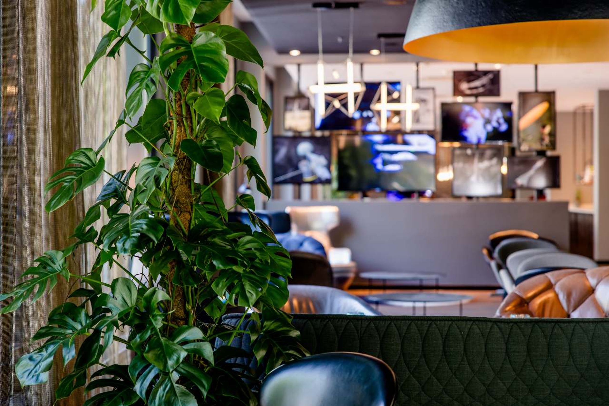 Designhotel München Deutsches Museum Motel One Lounge mit großer Pflanze im Vordergrund