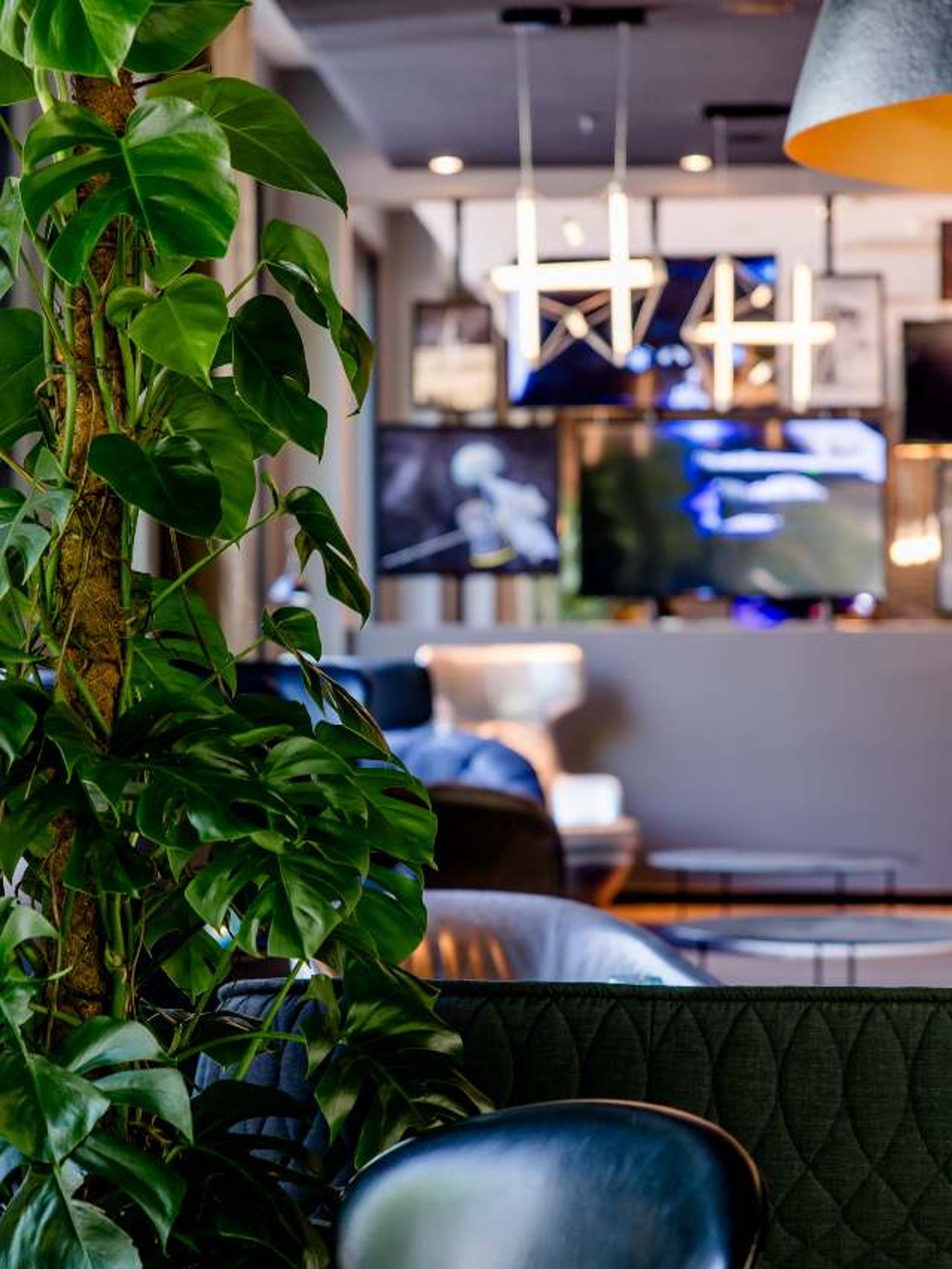 Designhotel München Deutsches Museum Motel One Lounge mit großer Pflanze im Vordergrund