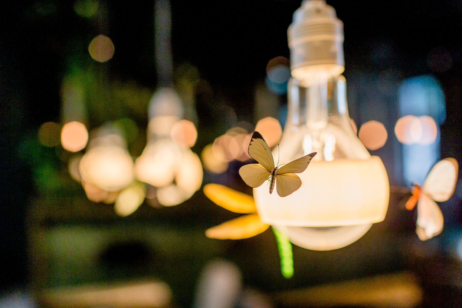 Hotel München East Side Motel One Nahaufnahme Lampe Glühbirne mit Schmetterling