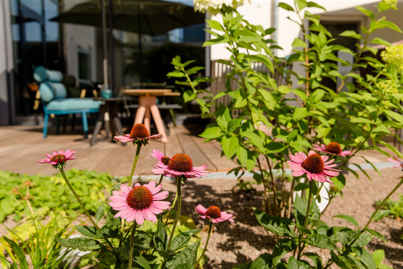 Hotel München Westend Motel One Terrasse mit Nahaufnahme auf Pflanzen im Vordergrund