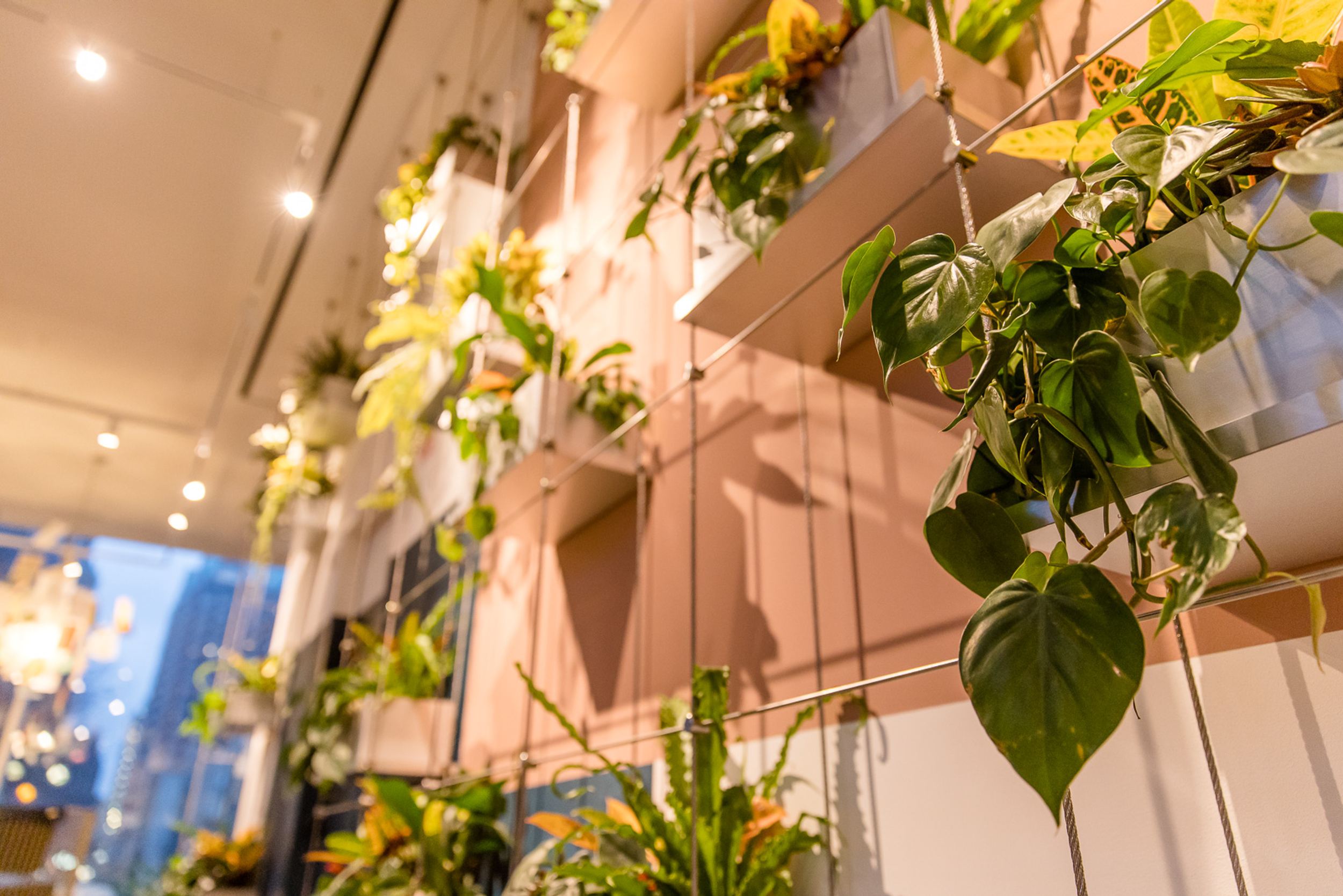 Hotel Rotterdam Motel One Pflanzenwand