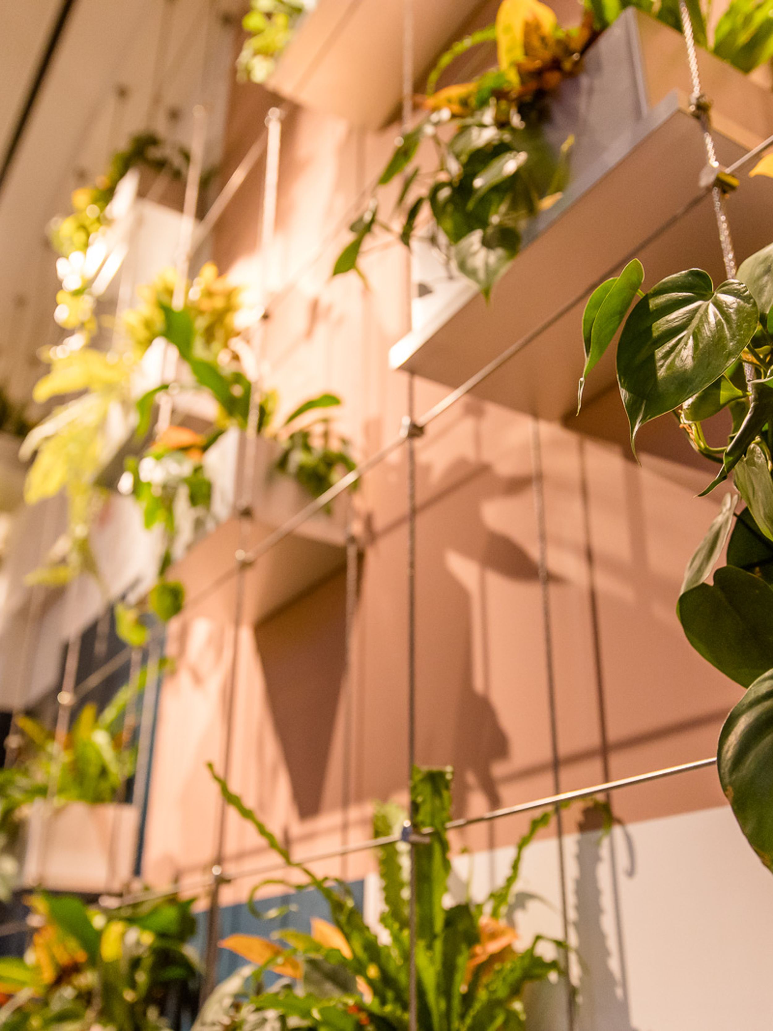 Hotel Rotterdam Motel One Pflanzenwand