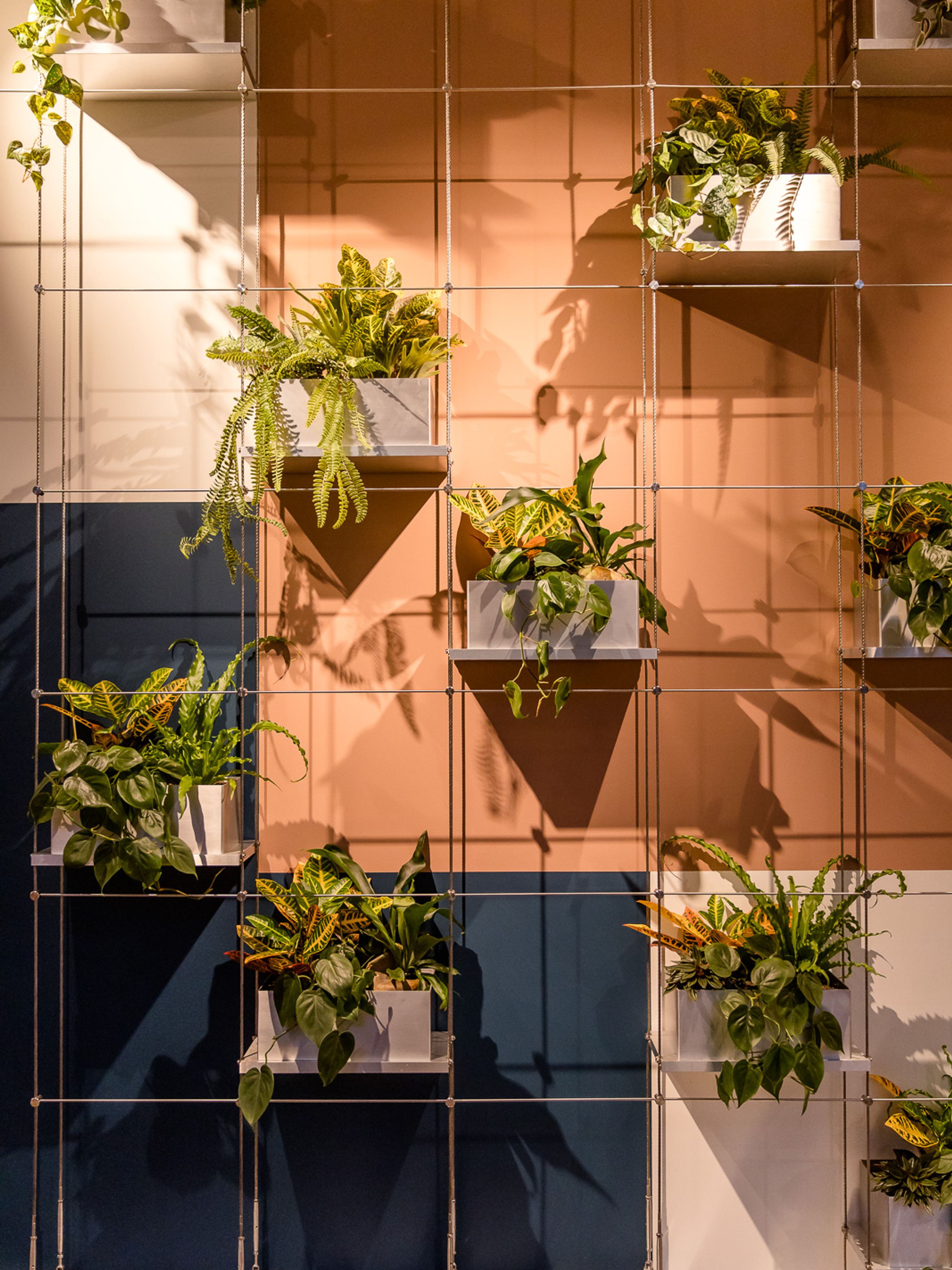 Designhotel Rotterdam Motel One Pflanzenwand