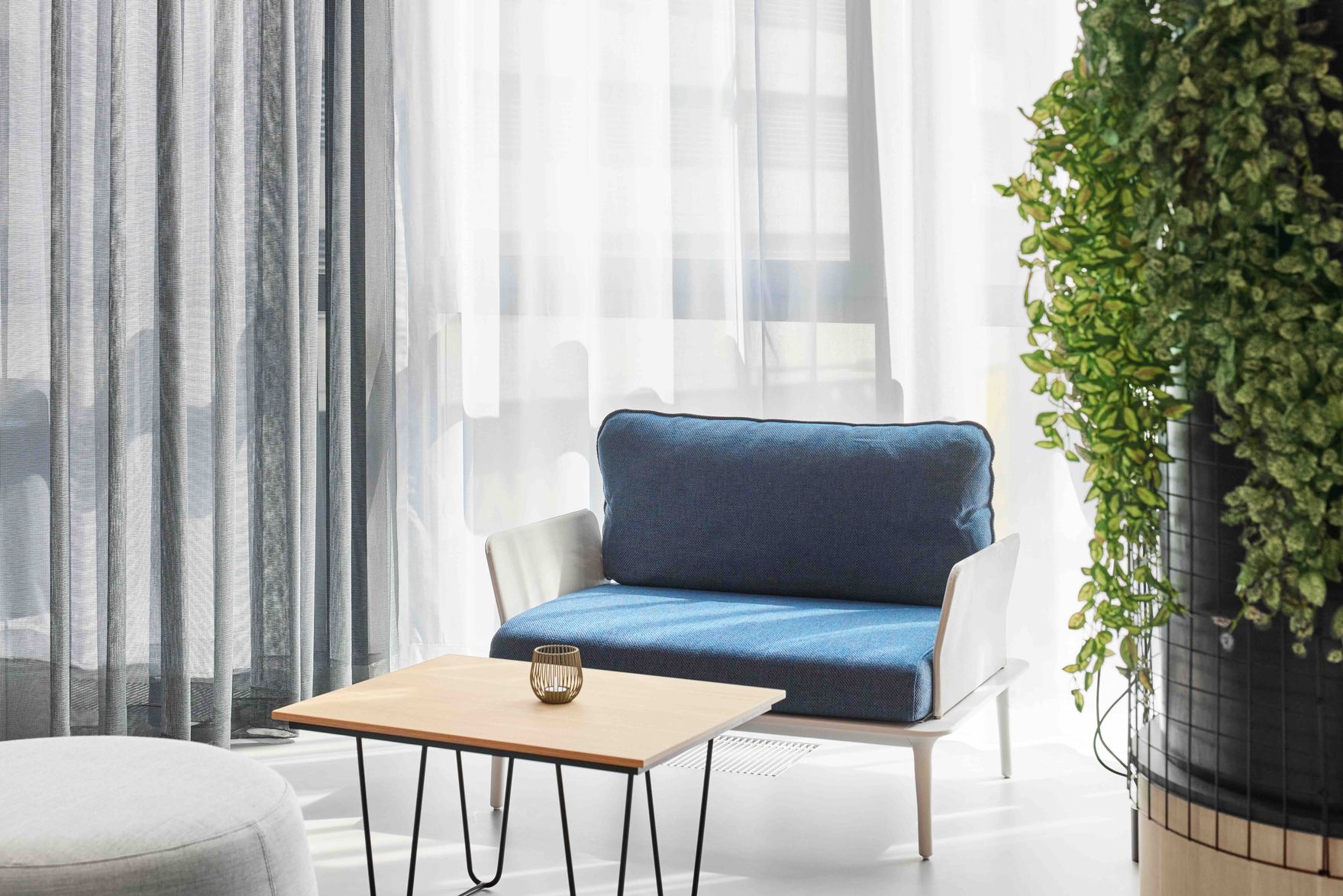 Helles, modernes Zimmer mit einem weißen Sessel mit blauem Polster, einem kleinen Holztisch und großen Fenstern mit transparenten Vorhängen, daneben eine große grüne Pflanze, die eine einladende und entspannte Atmosphäre schafft.