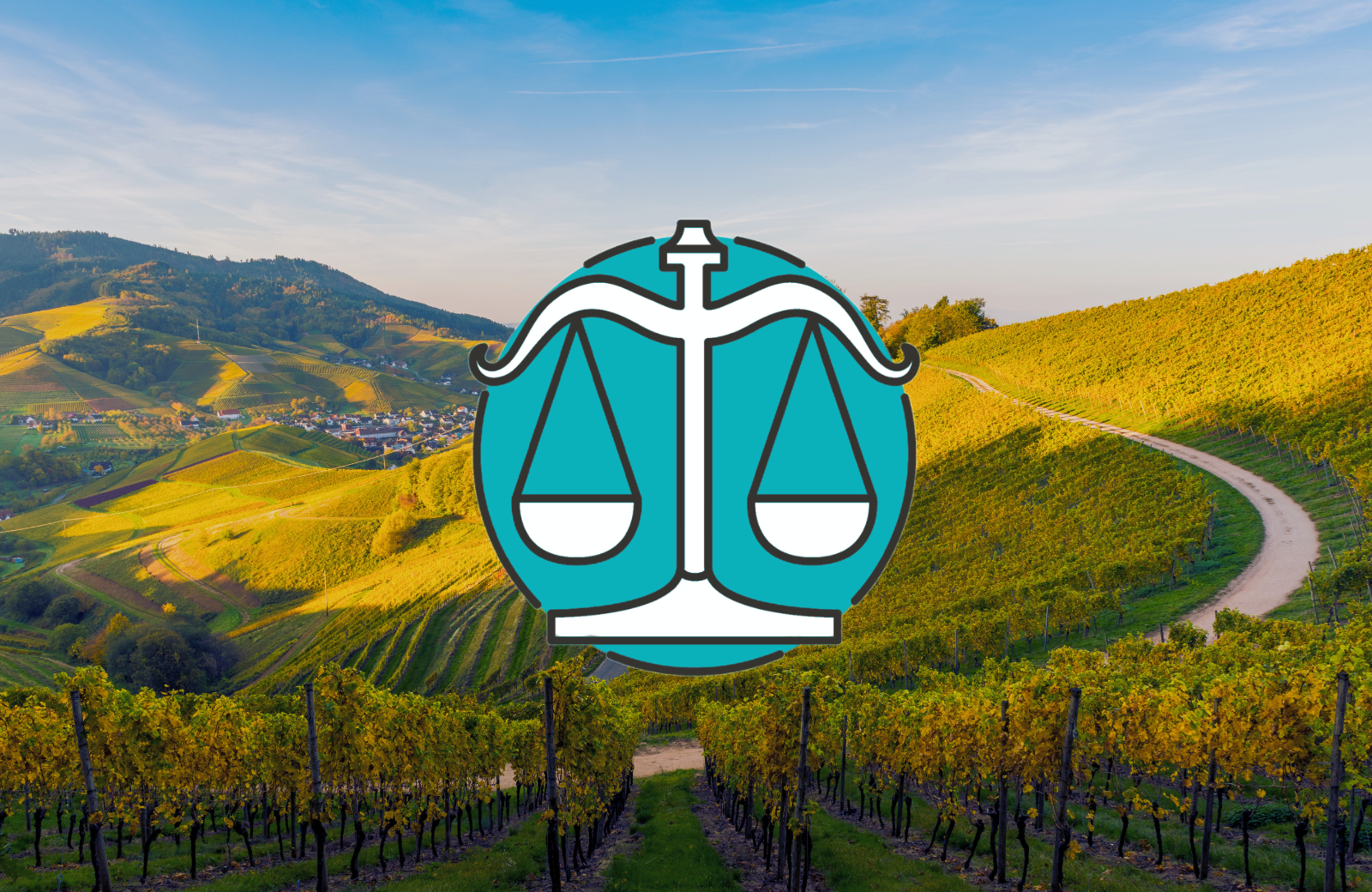 Blick auf sanfte, grüne Weinberge unter blauem Himmel mit einem geschwungenen Pfad, der durch die hügelige Landschaft führt. Im Hintergrund ist ein kleines Dorf zwischen den Weinreben zu sehen.