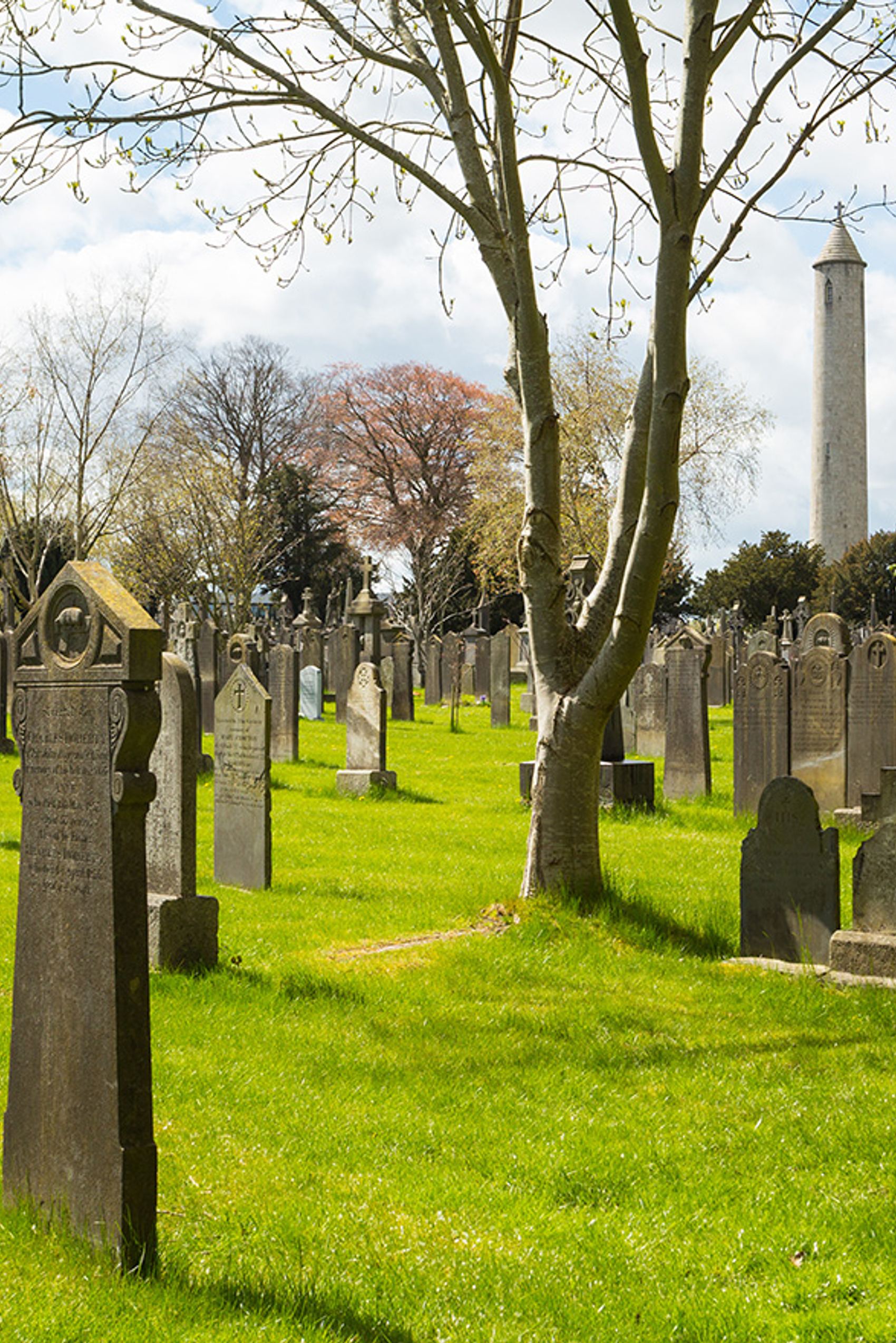 Friedhof mit alten Grabsteinen auf grünem Rasen, Bäumen ohne volle Blätter und einem hohen runden Turm im Hintergrund unter einem hellen Himmel.