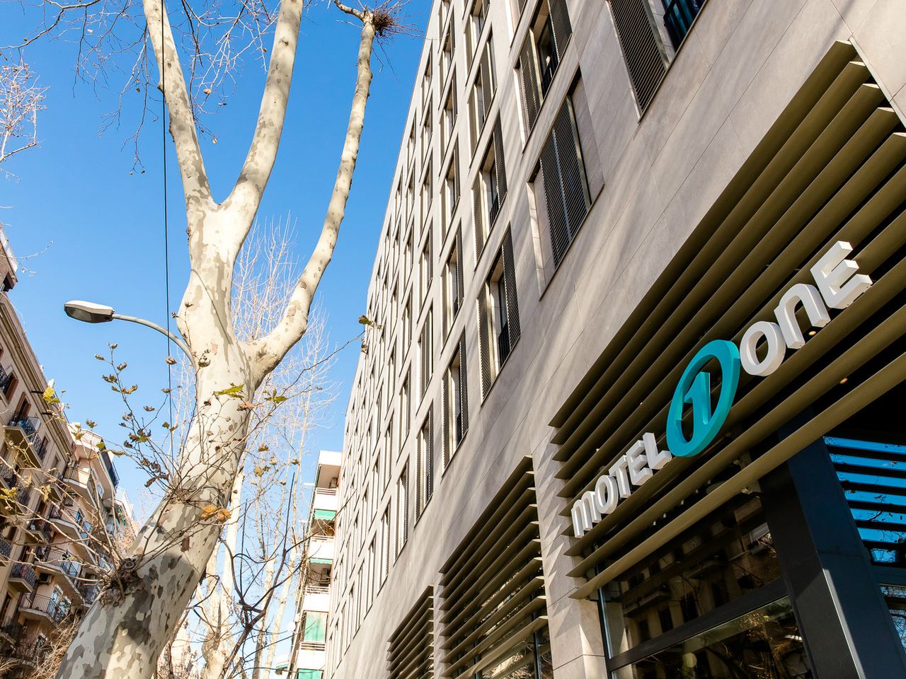 Außenansicht eines modernen Hotels an einem sonnigen Tag, mit klarem blauem Himmel und einem großen Baum ohne Blätter im Vordergrund.