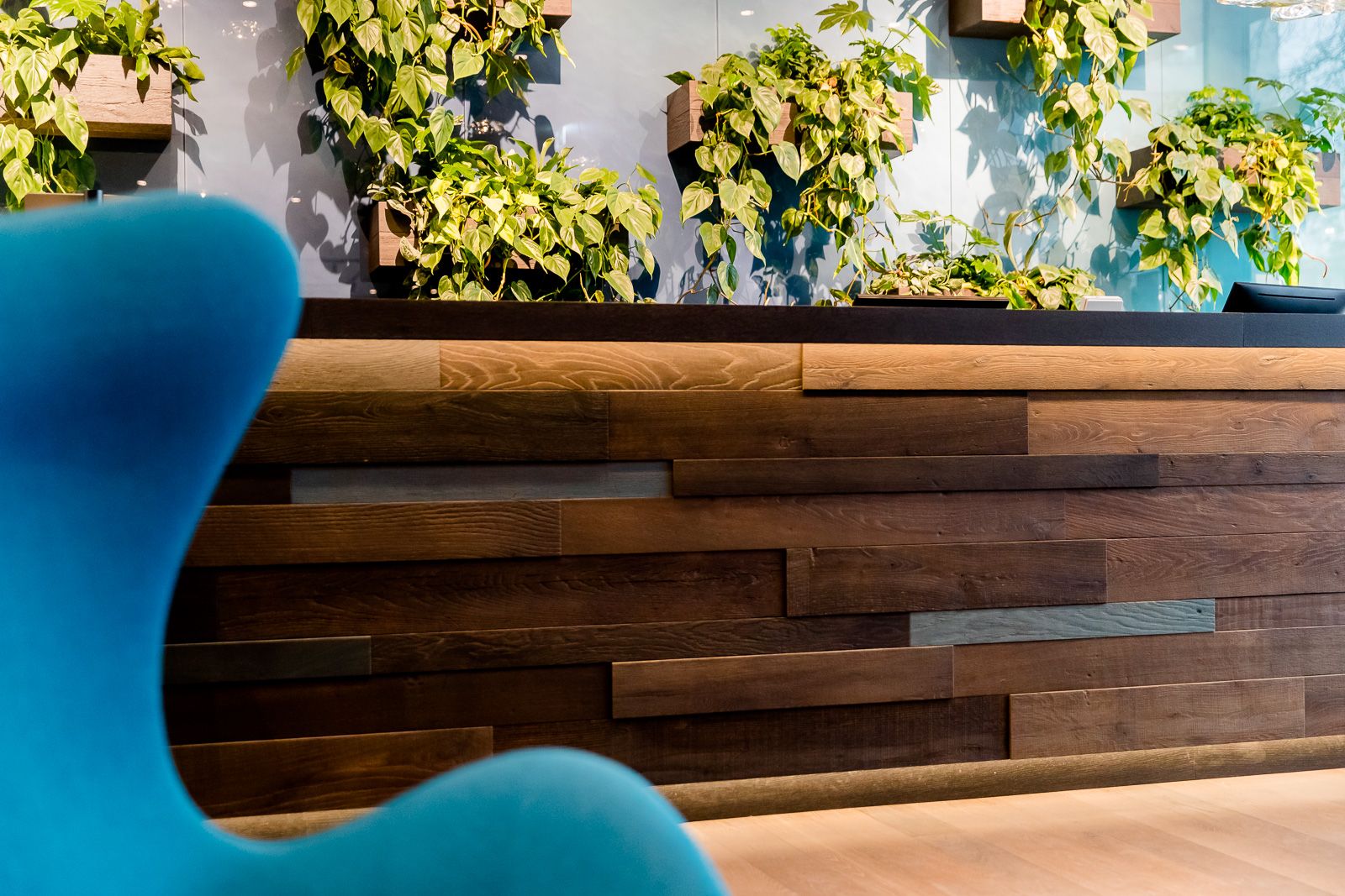 Moderner Motel One Empfangsbereich mit elegantem Holztheken-Design und grünen Pflanzen an der Wand, die eine einladende und natürliche Atmosphäre schaffen. Ein stilvoller blauer Sitz ist im Vordergrund sichtbar.
