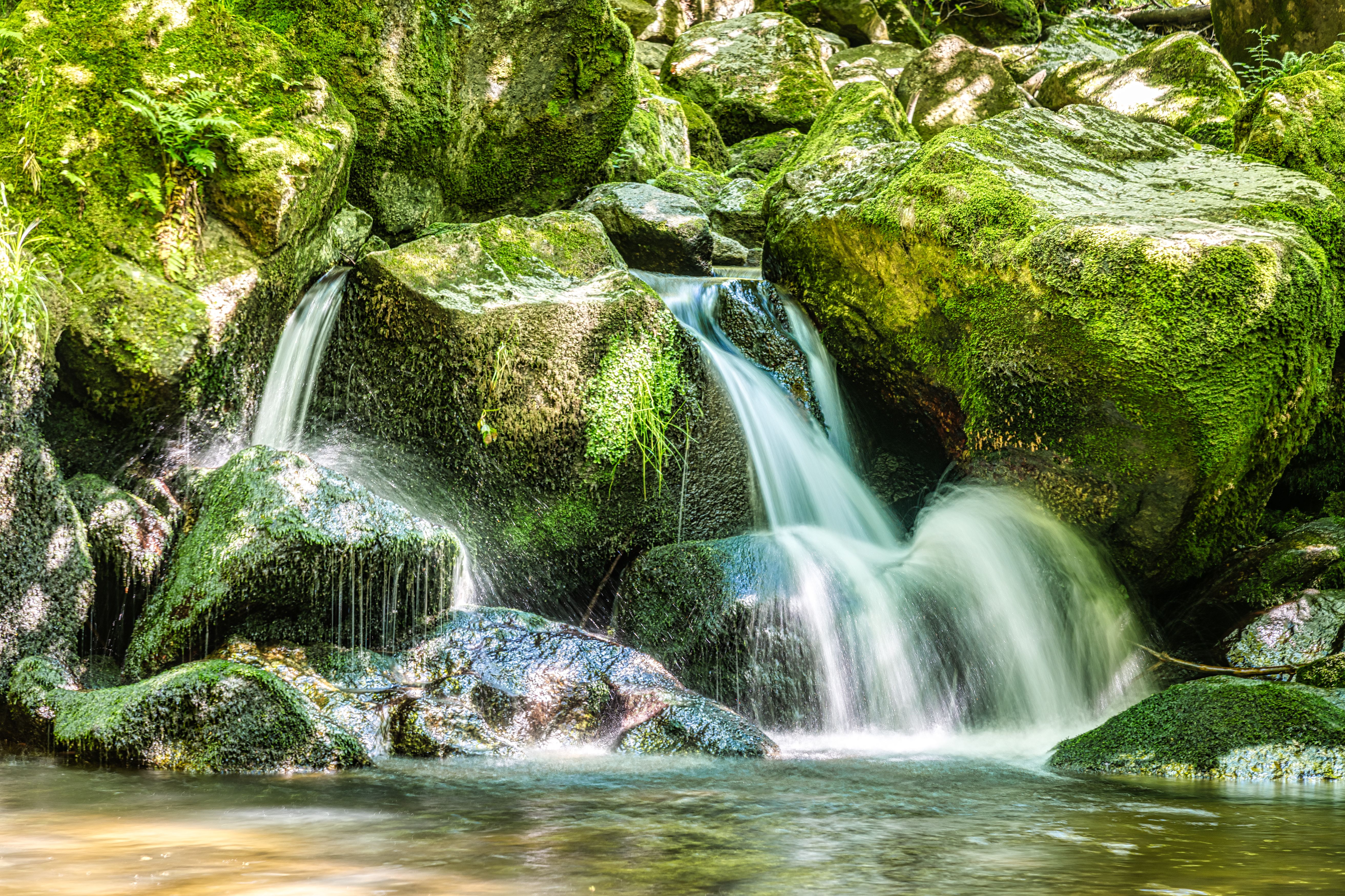 Kleiner Wasserfall, der sanft über moosbedeckte Felsen in einen klaren Bach fließt, umgeben von grünem Waldlicht.