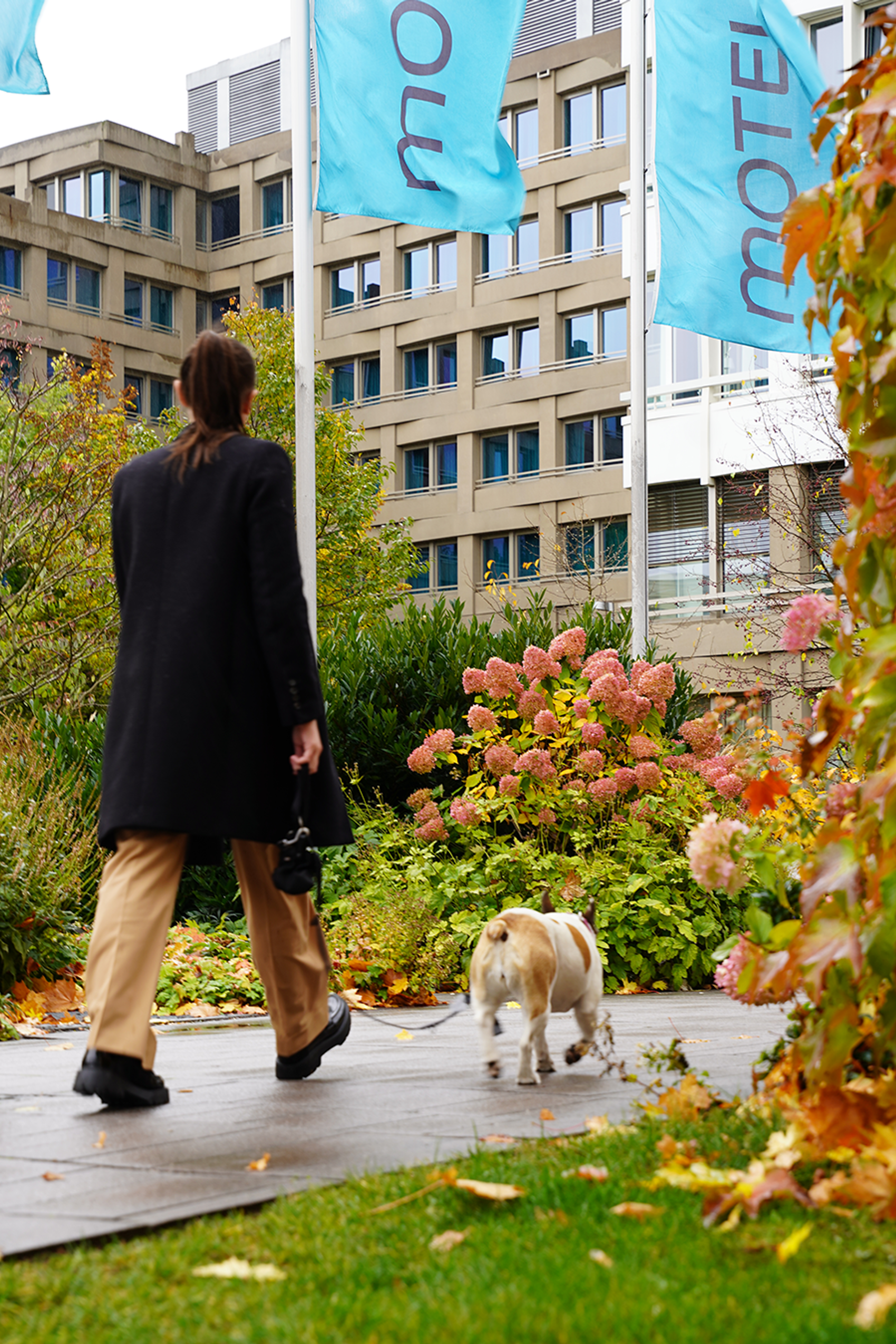 Eine Person geht mit ihrem Hund an buntem Herbstlaub vorbei auf einem Weg neben einem Hotelgebäude mit sichtbaren Hotel-Fahnen.