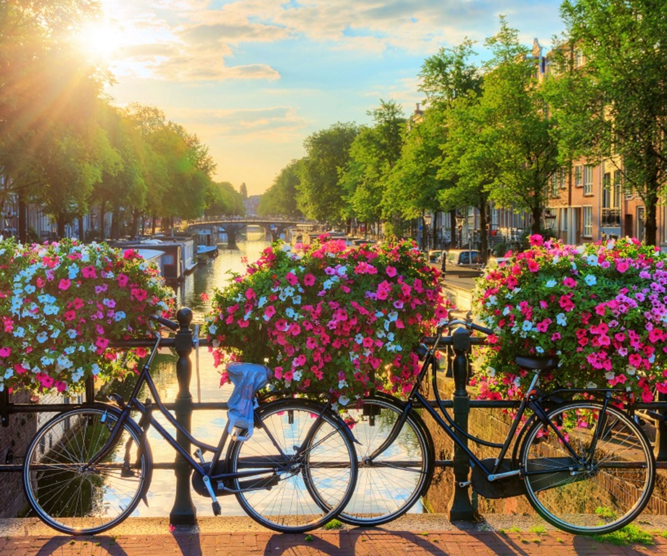 Blick auf eine Gracht in Amsterdam zum Sonnenaufgang - Teil einer fußläufigen City-Tour