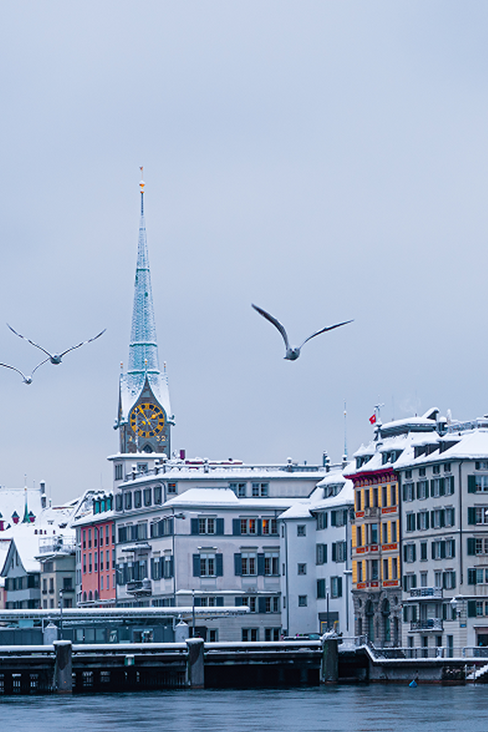 Verschneite historische Gebäude am Flussufer einer Stadt, dominierend eine Kirchturmspitze mit großer Uhr. Drei Möwen fliegen vor dem hellgrauen Winterhimmel.