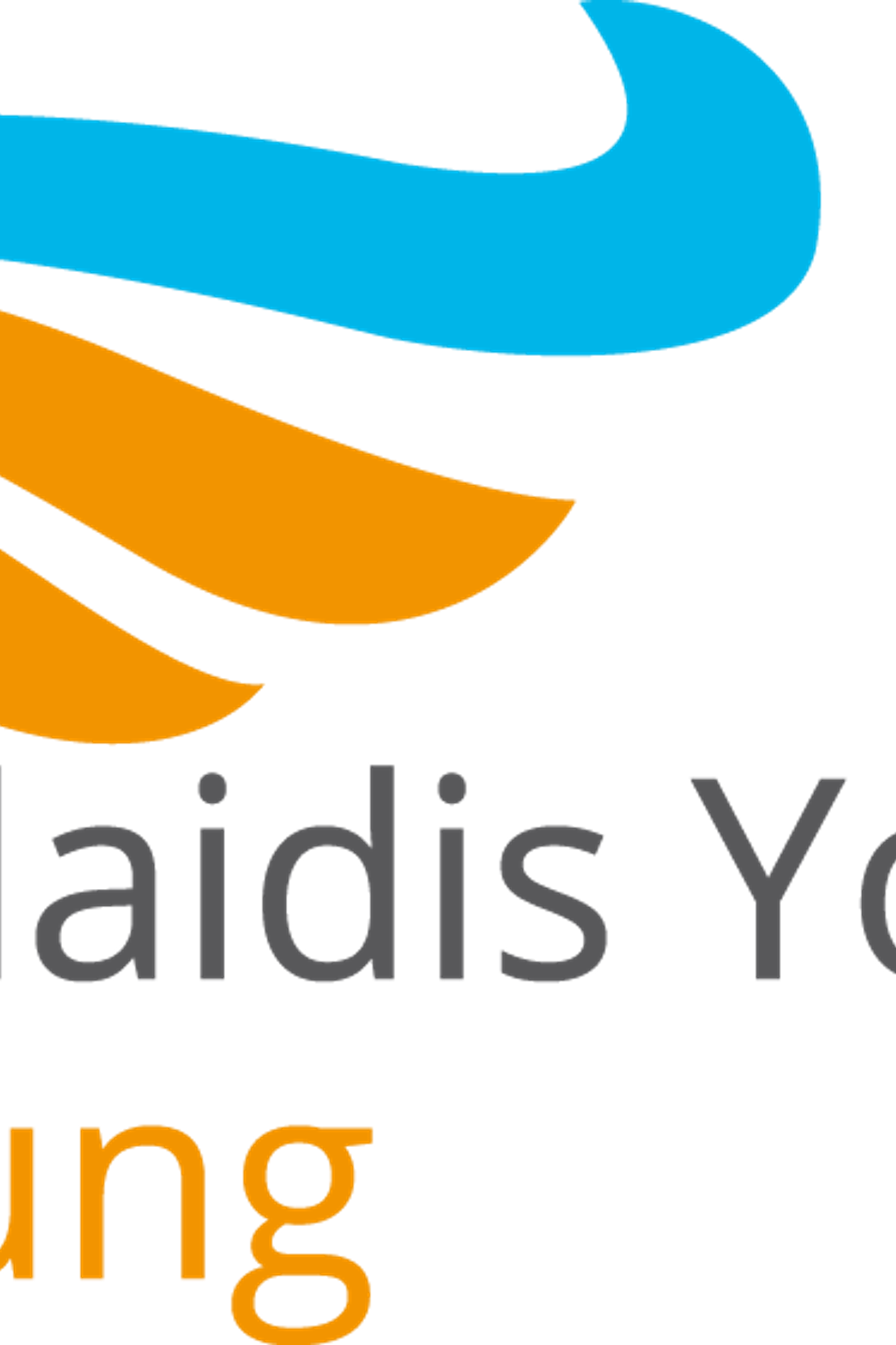 Logo der Nicolaidis YoungWings Stiftung, einer Organisation, die junge Menschen unterstützt, die einen Elternteil verloren haben.
