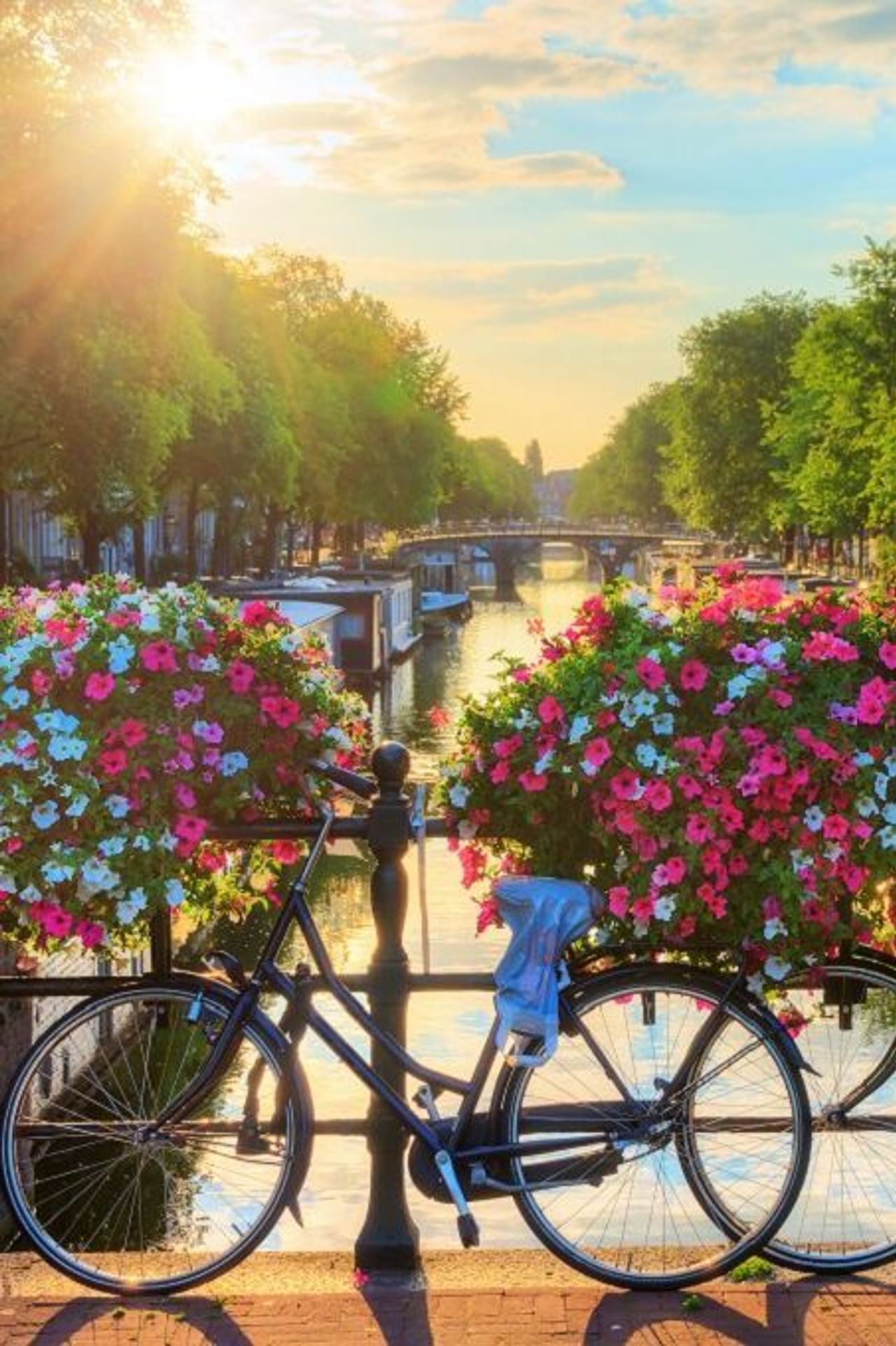 Design Hotel Amsterdam