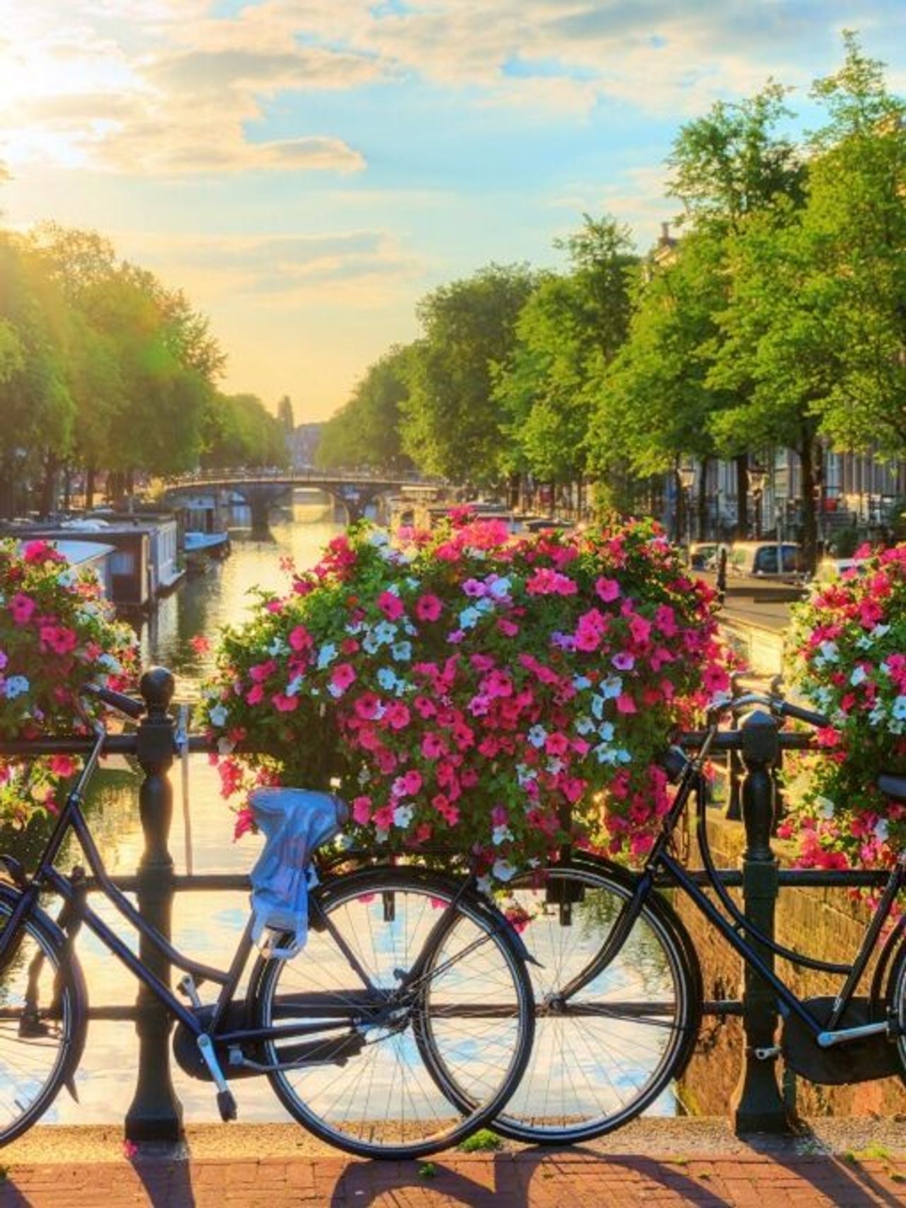 Design Hotel Amsterdam Design Hotel Amsterdam