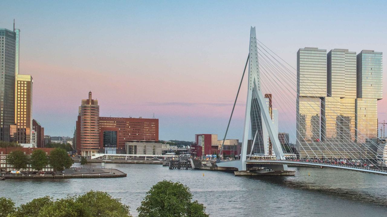 Panoramablick Rotterdam Erasmusbrücke - Kurztrip in die Niederlande