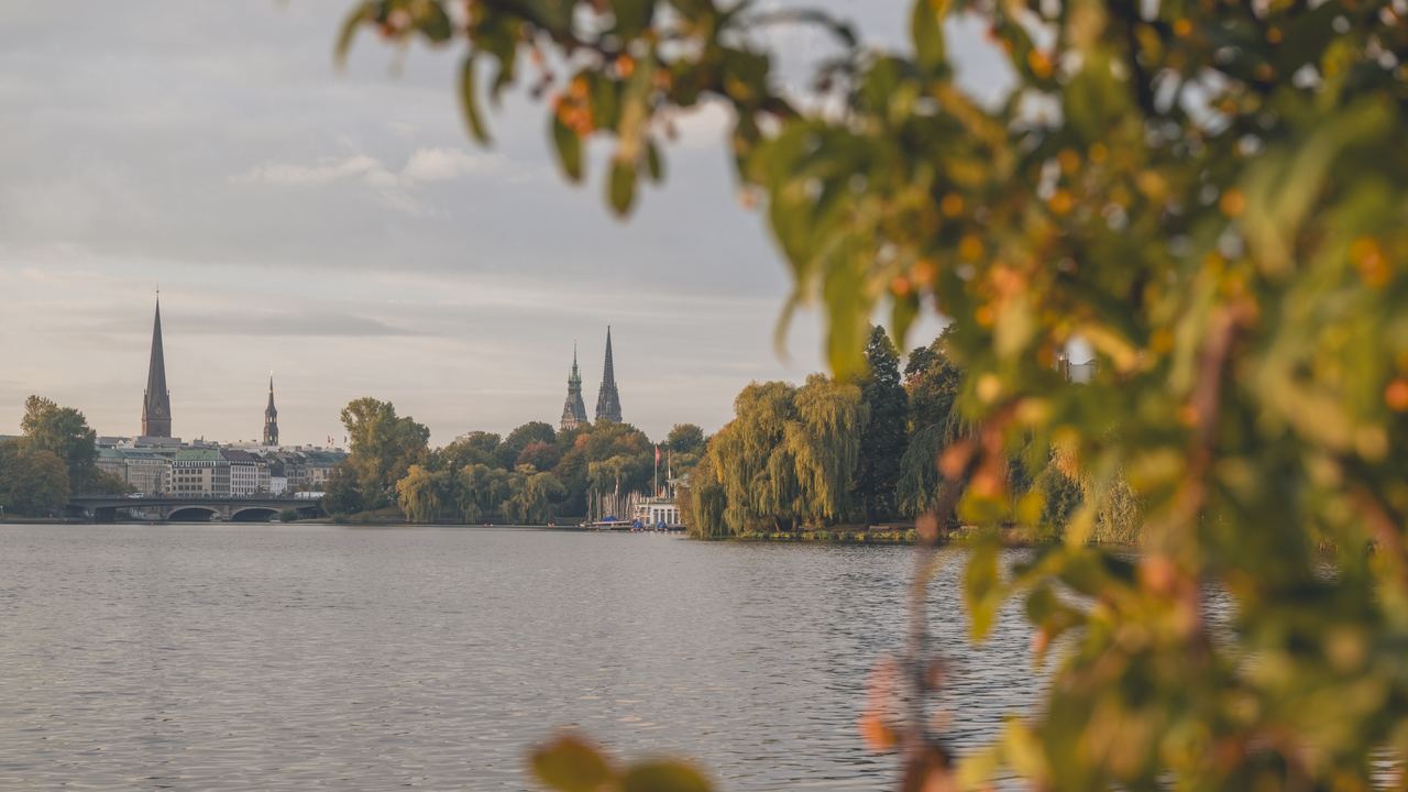 Blick auf einen ruhigen See mit Herbstlaub im Vordergrund und einer Stadt mit markanten Kirchtürmen am Ufer bei sanftem, spätem Tageslicht.