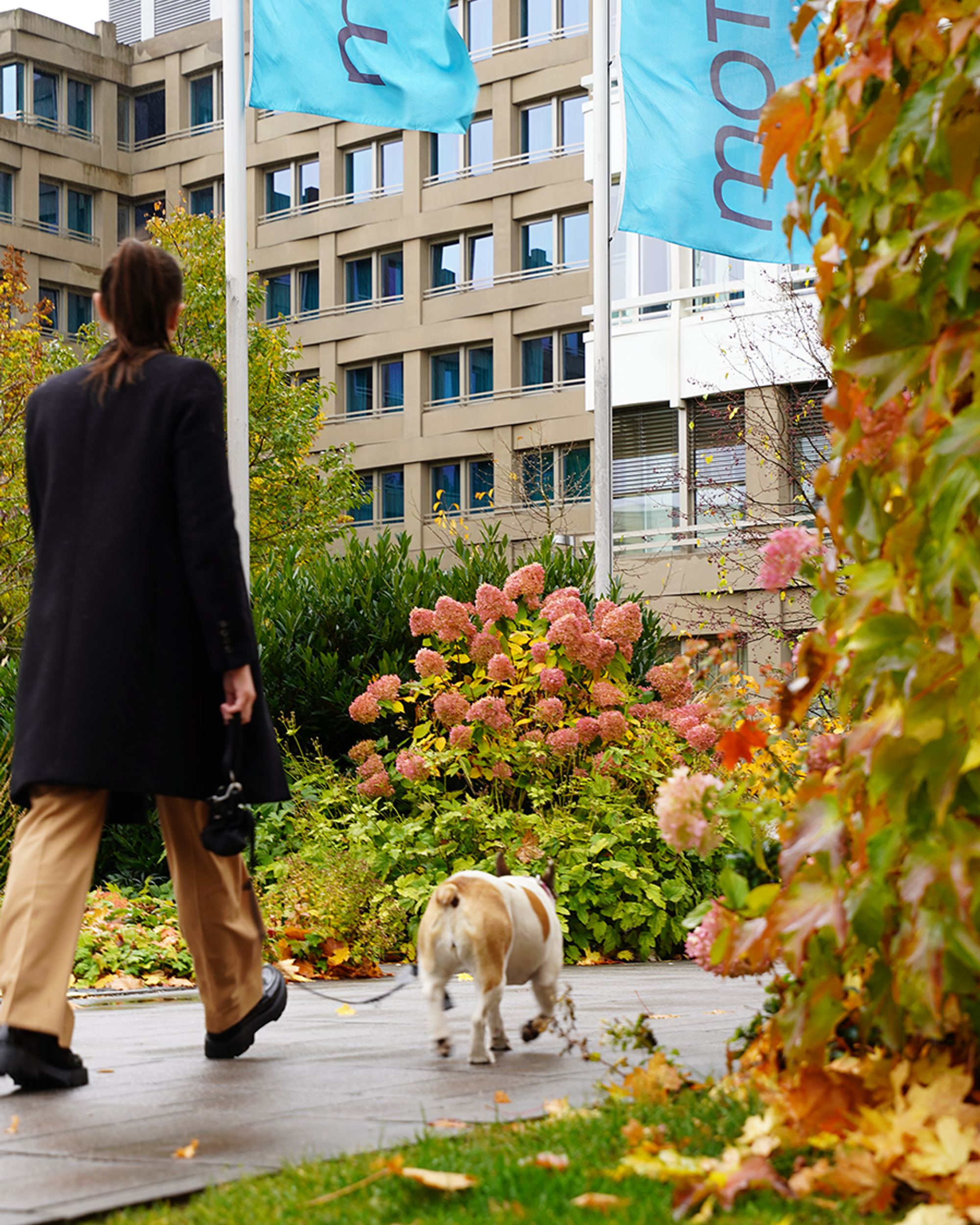 Eine Person geht mit ihrem Hund an buntem Herbstlaub vorbei auf einem Weg neben einem Hotelgebäude mit sichtbaren Hotel-Fahnen.