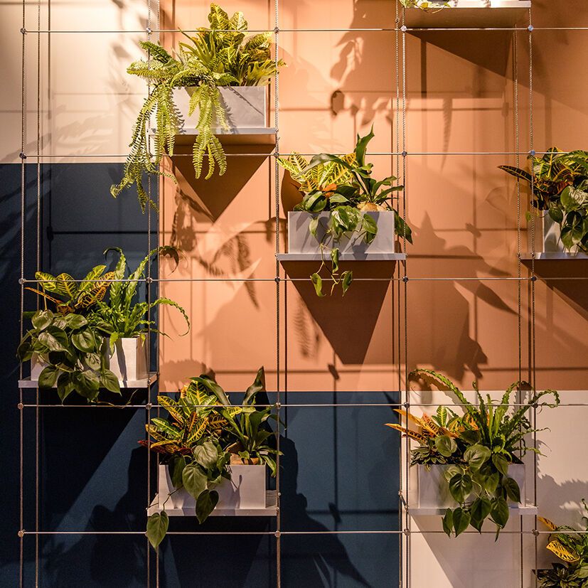 Motel One Vertikale Wandgestaltung mit verschiedenen grünen Pflanzen in weißen Töpfen, arrangiert auf einem Metallgitter vor einer farbig unterteilten Wand in Blau und Beige