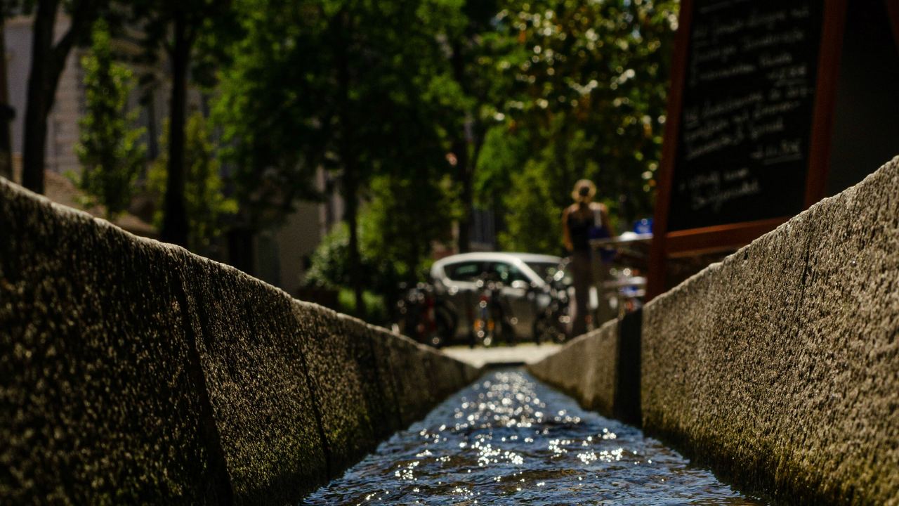 Klares Wasser fließt in einem steinernen Bachlauf, umgeben von Bäumen und Stadtleben, das an einem sonnigen Tag für Entspannung und Erfrischung sorgt.