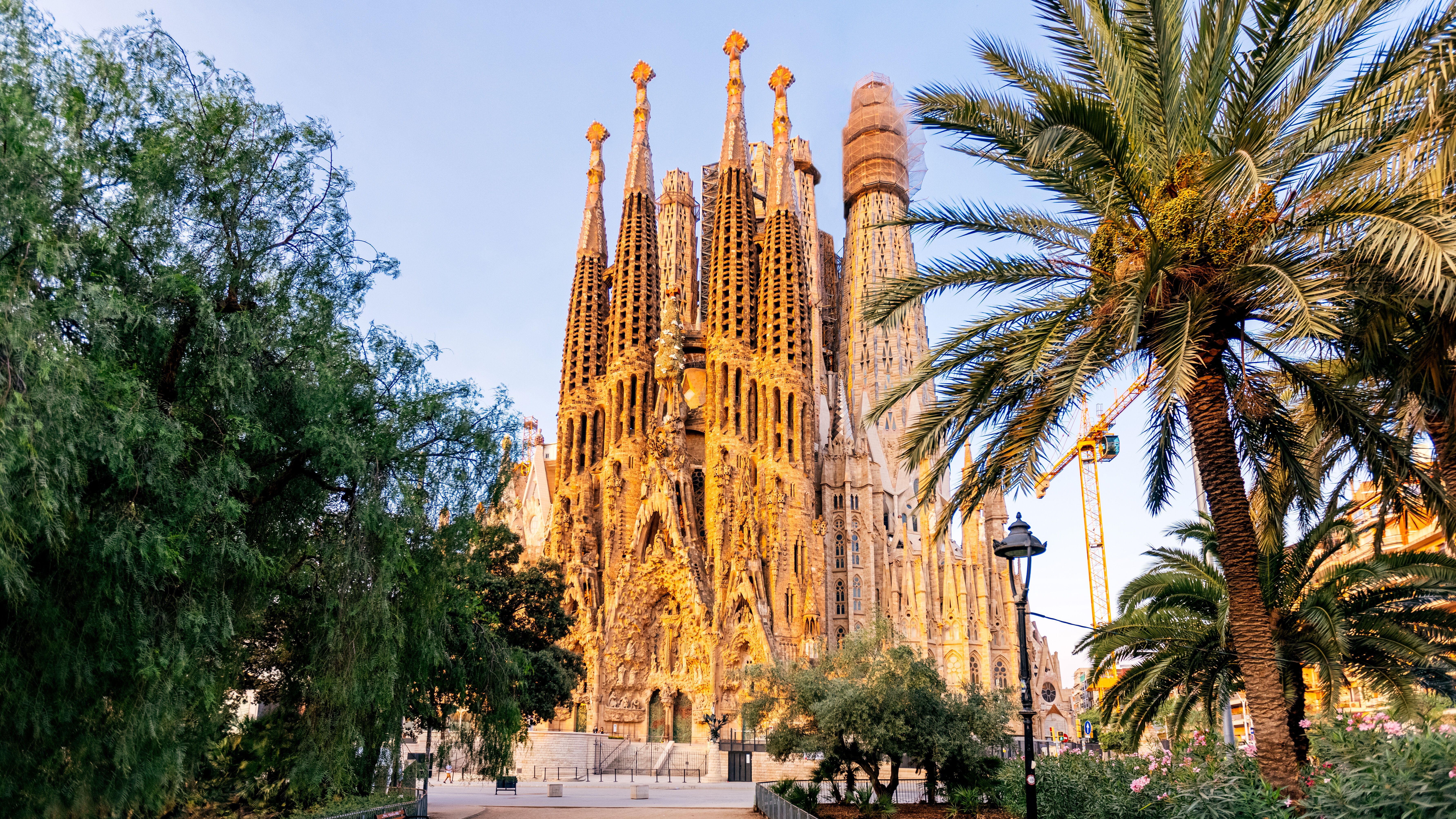 Blick auf die eindrucksvolle Basilika Sagrada Família in Barcelona, umgeben von grünen Bäumen und Palmen, im warmen Nachmittagslicht.