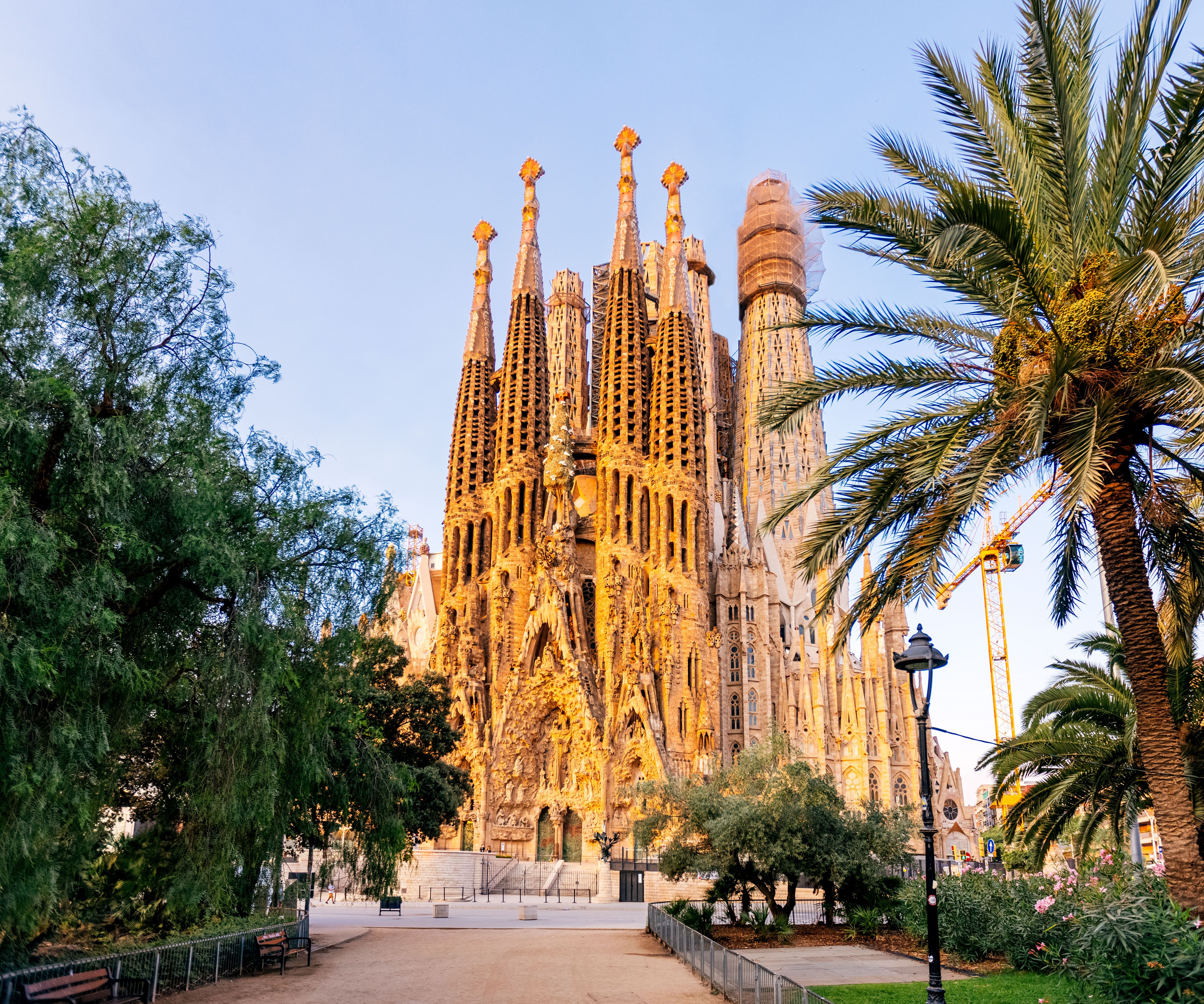 Blick auf die eindrucksvolle Basilika Sagrada Família in Barcelona, umgeben von grünen Bäumen und Palmen, im warmen Nachmittagslicht.