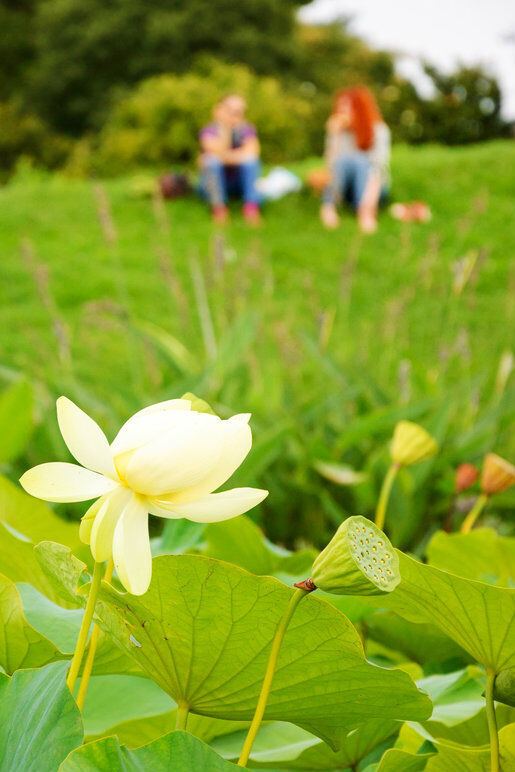 Design Hotel Paris Porte Dorée Motel One Parc Floral de Paris Design Hotel Paris Porte Dorée Motel One Parc Floral de Paris