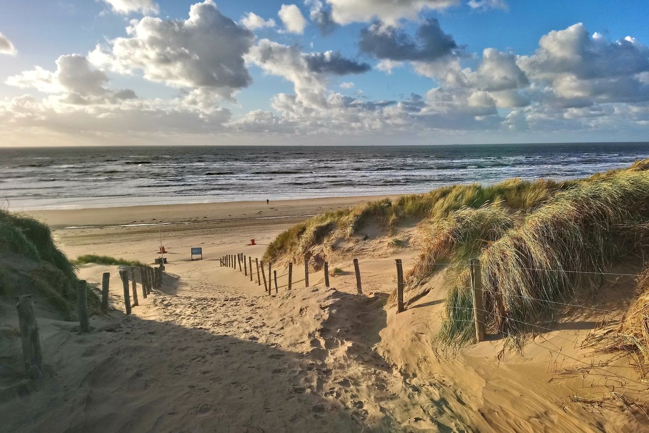 Motel One Bloemendaal Strand mit gräsern
