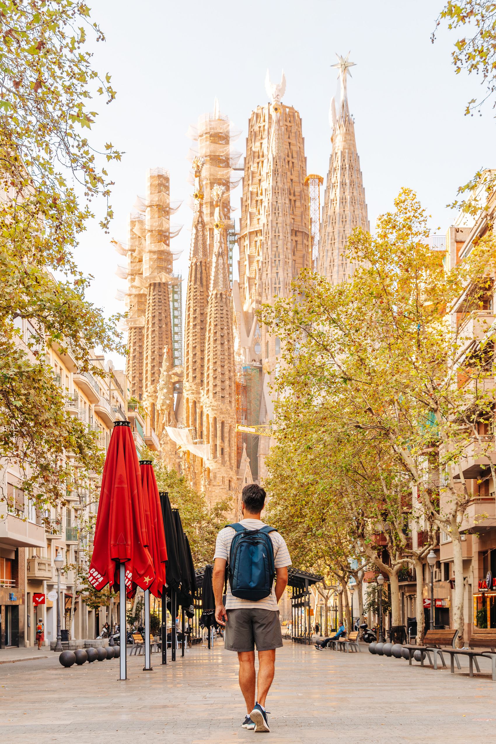 Ein Mann mit Rucksack geht an einem sonnigen Tag auf einer baumgesäumten Straße in Barcelona, mit Blick auf die markante Silhouette der Sagrada Familia im Hintergrund.