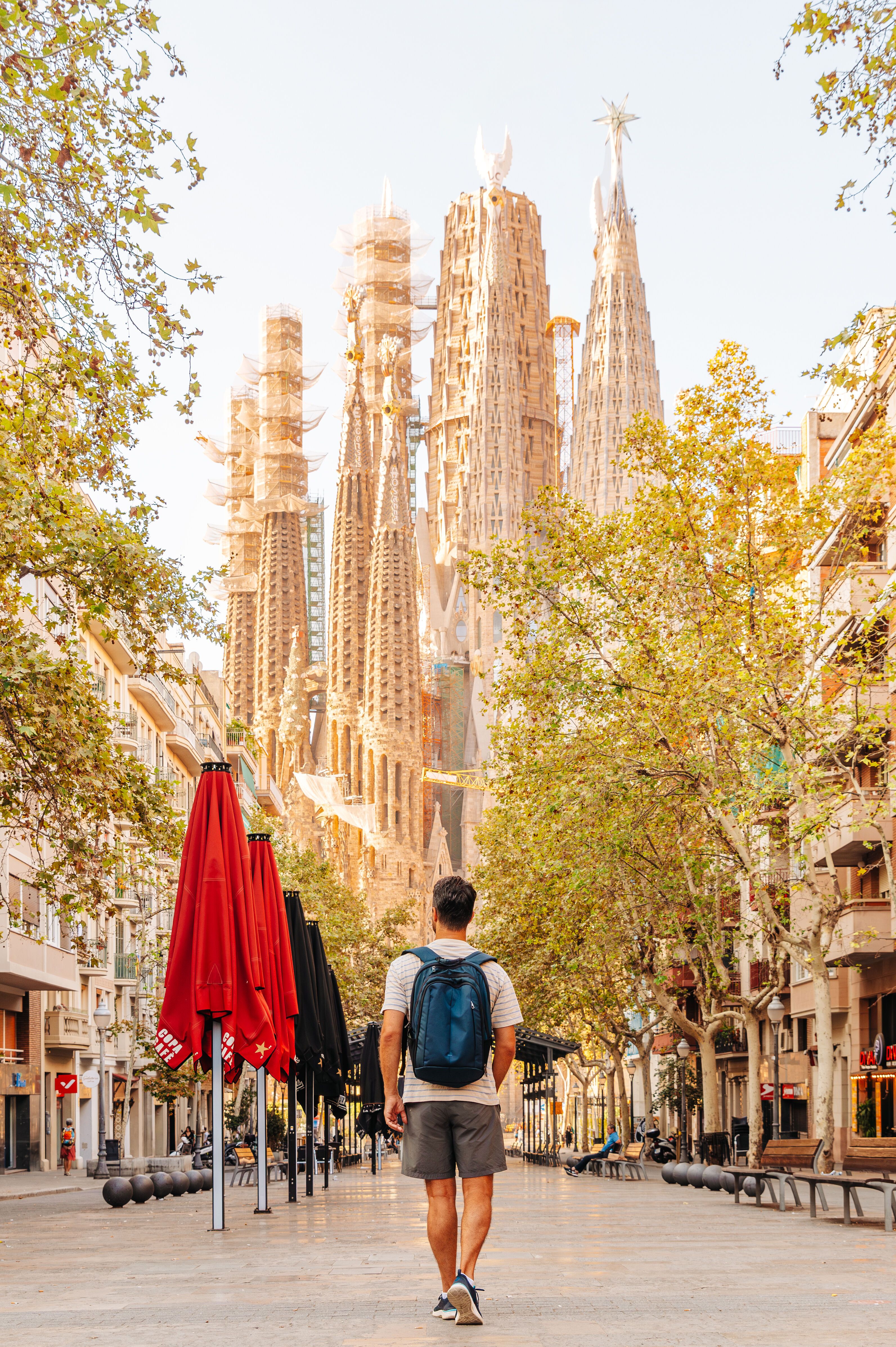 Ein Mann mit Rucksack geht an einem sonnigen Tag auf einer baumgesäumten Straße in Barcelona, mit Blick auf die markante Silhouette der Sagrada Familia im Hintergrund.
