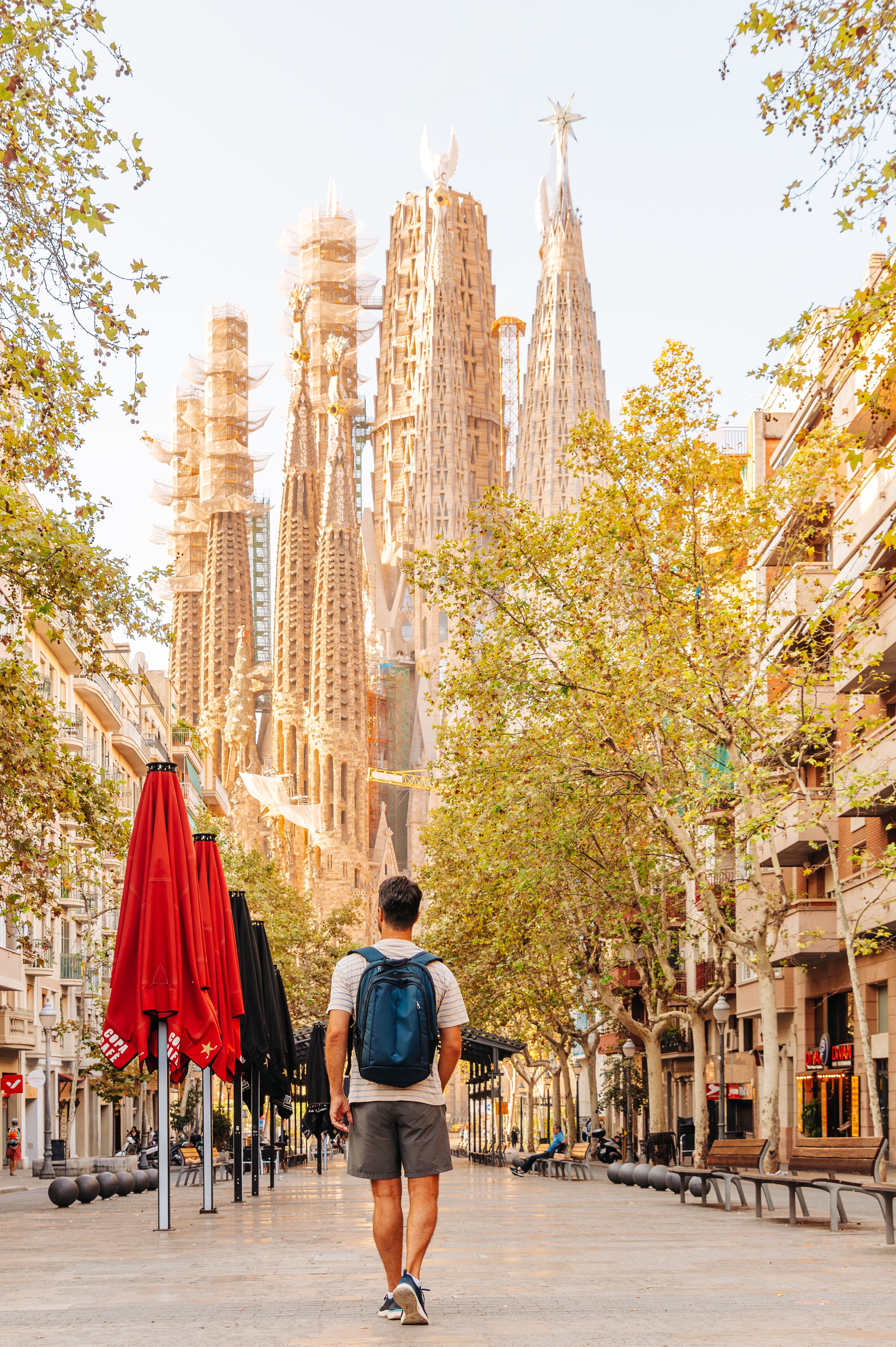Ein Mann mit Rucksack geht an einem sonnigen Tag auf einer baumgesäumten Straße in Barcelona, mit Blick auf die markante Silhouette der Sagrada Familia im Hintergrund.