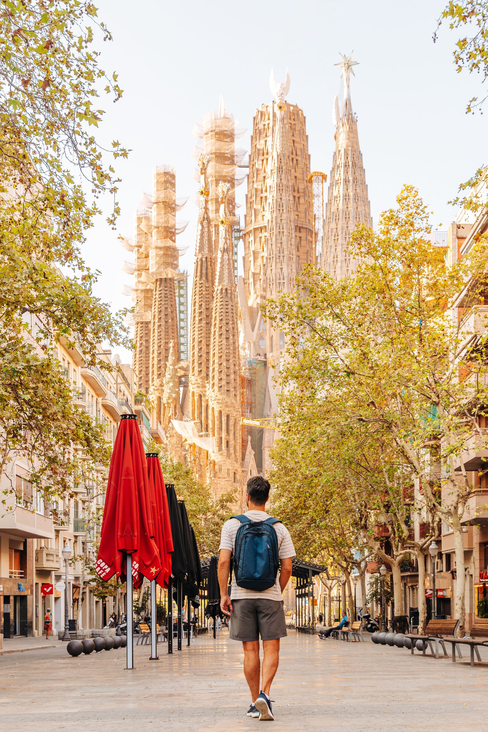 Ein Mann mit Rucksack geht an einem sonnigen Tag auf einer baumgesäumten Straße in Barcelona, mit Blick auf die markante Silhouette der Sagrada Familia im Hintergrund.