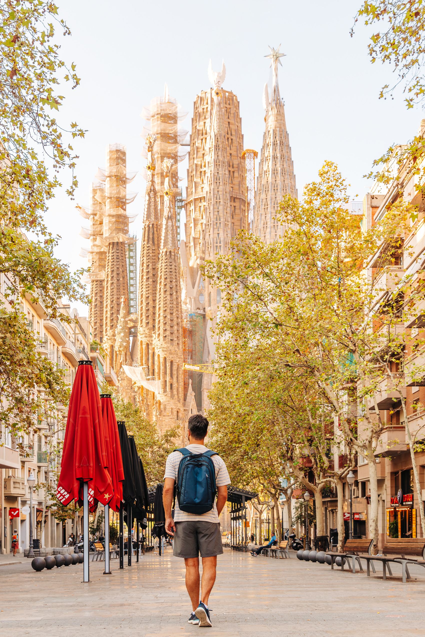 Ein Mann mit Rucksack geht an einem sonnigen Tag auf einer baumgesäumten Straße in Barcelona, mit Blick auf die markante Silhouette der Sagrada Familia im Hintergrund.