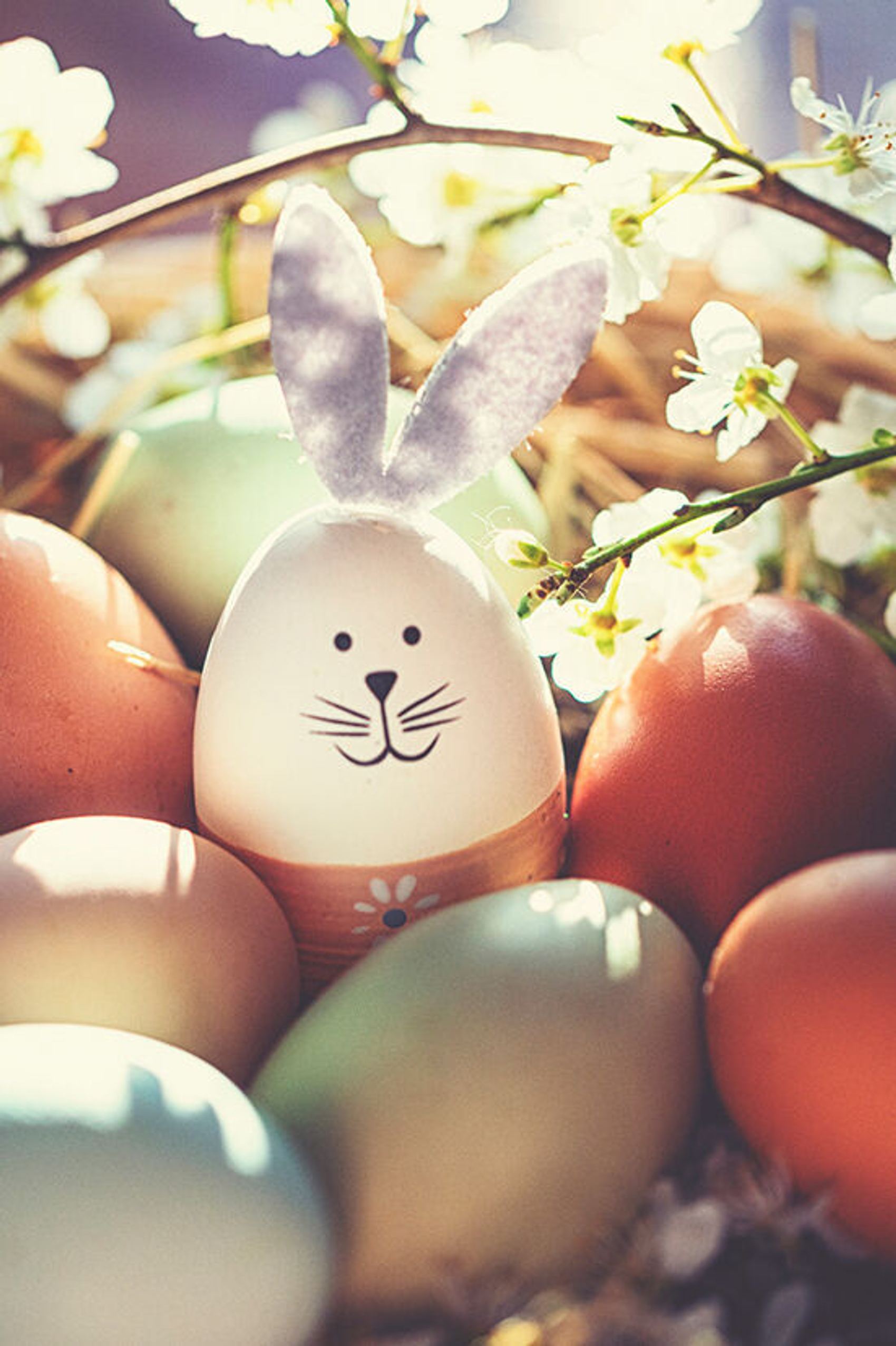 Oster Eier in einem Osterkorb während einer Feier