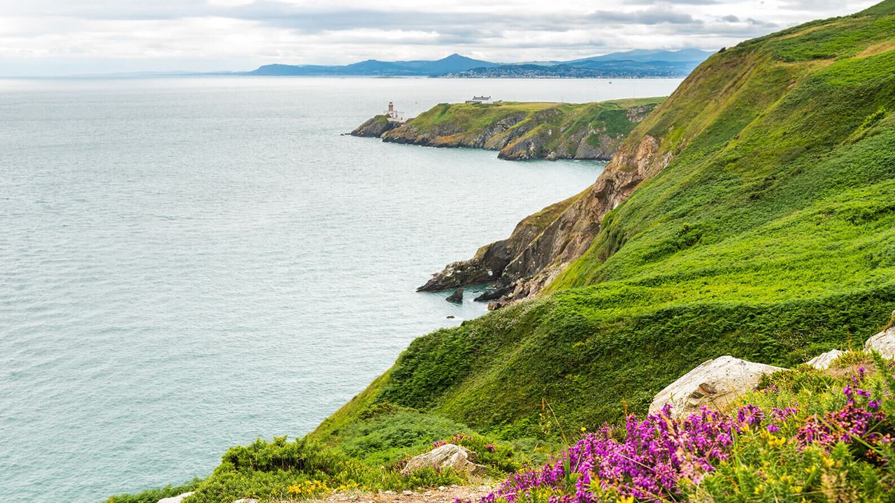 Grüne Küstenlandschaft mit bunten Wildblumen im Vordergrund, steil abfallenden Klippen und ruhigem Meer, dahinter ein Leuchtturm auf einer Landzunge unter bewölktem Himmel.