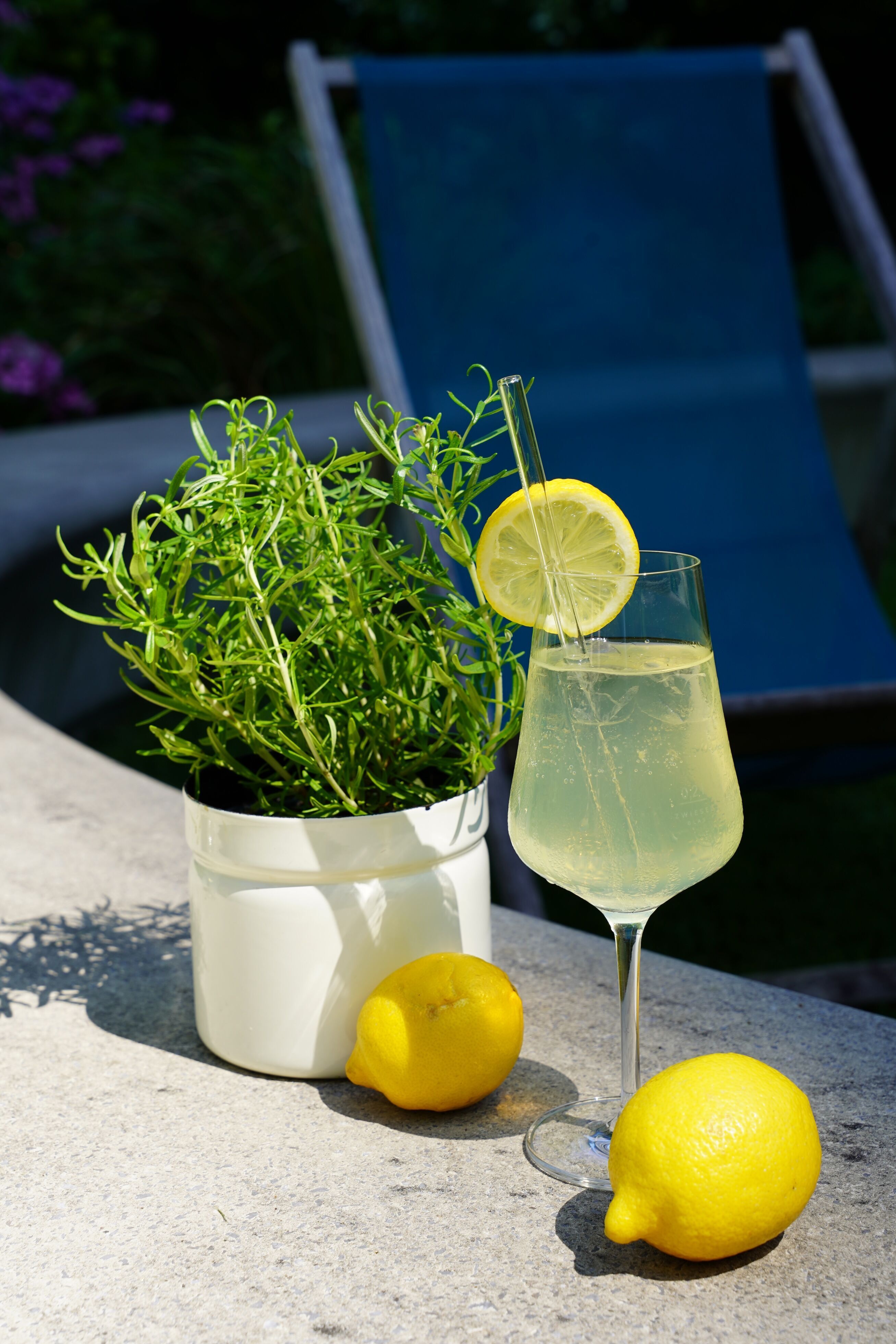 Glas mit erfrischendem Zitronengetränk und Zitronenscheibe, daneben zwei frische Zitronen und ein Topf mit grünem Kräuterbusch, auf hellem Gartentisch bei Sonnenschein.