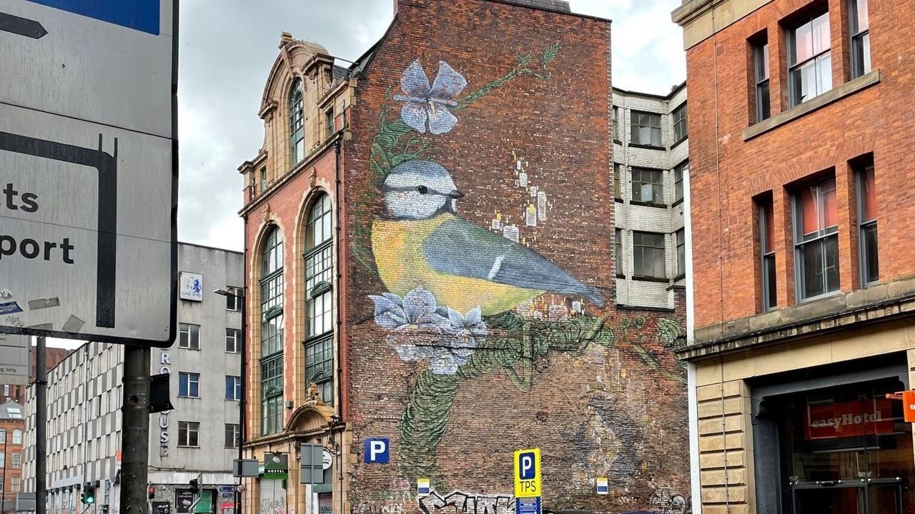 Großes Wandbild eines farbenfrohen Vogels mit blauen Blüten an einer Backsteinmauer inmitten einer städtischen Straße bei Regenwetter.