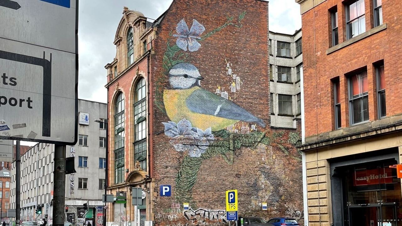 Großes Wandbild eines farbenfrohen Vogels mit blauen Blüten an einer Backsteinmauer inmitten einer städtischen Straße bei Regenwetter.
