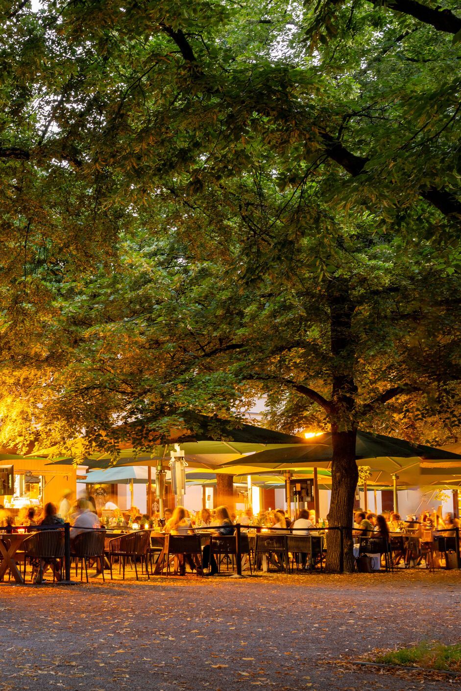 Gemütliche Außenbestuhlung eines Restaurants unter großen, beleuchteten Bäumen am Abend, Gäste sitzen entspannt und genießen die Atmosphäre in einem grünen, einladenden Ambiente.