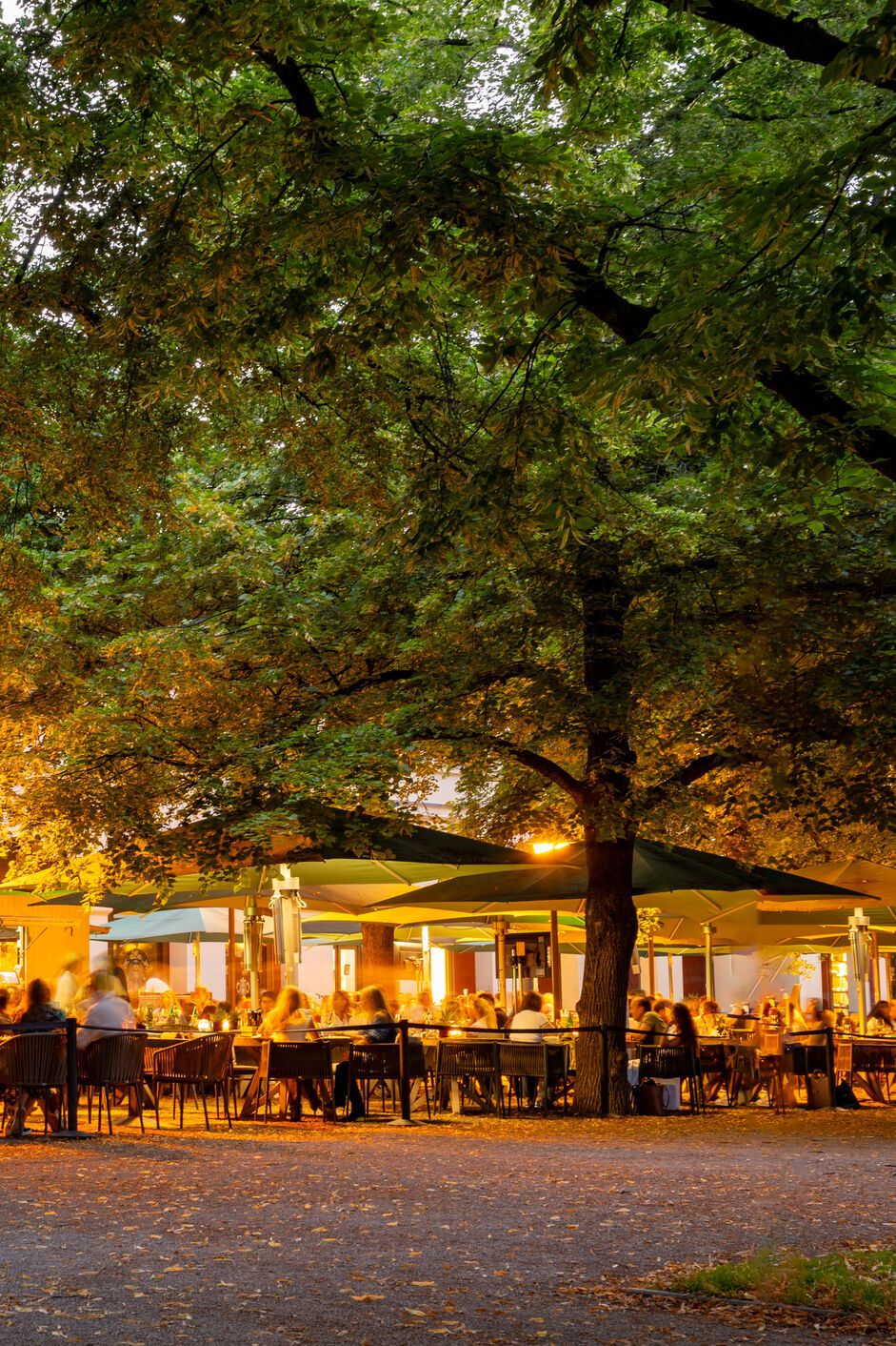 Gemütliche Außenbestuhlung eines Restaurants unter großen, beleuchteten Bäumen am Abend, Gäste sitzen entspannt und genießen die Atmosphäre in einem grünen, einladenden Ambiente.