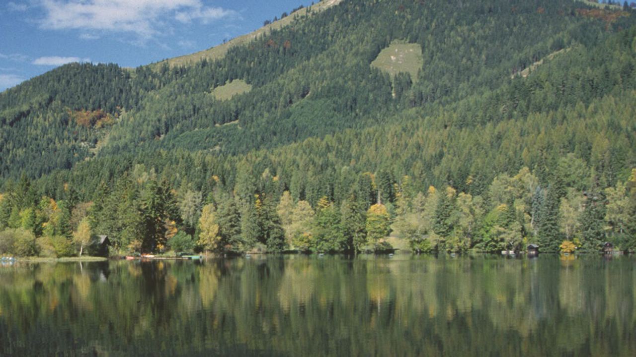 Bergpanorama mit dicht bewaldetem Gipfel, klarer Himmel und ruhigem See im Vordergrund, der die Landschaft spiegelglatt reflektiert.