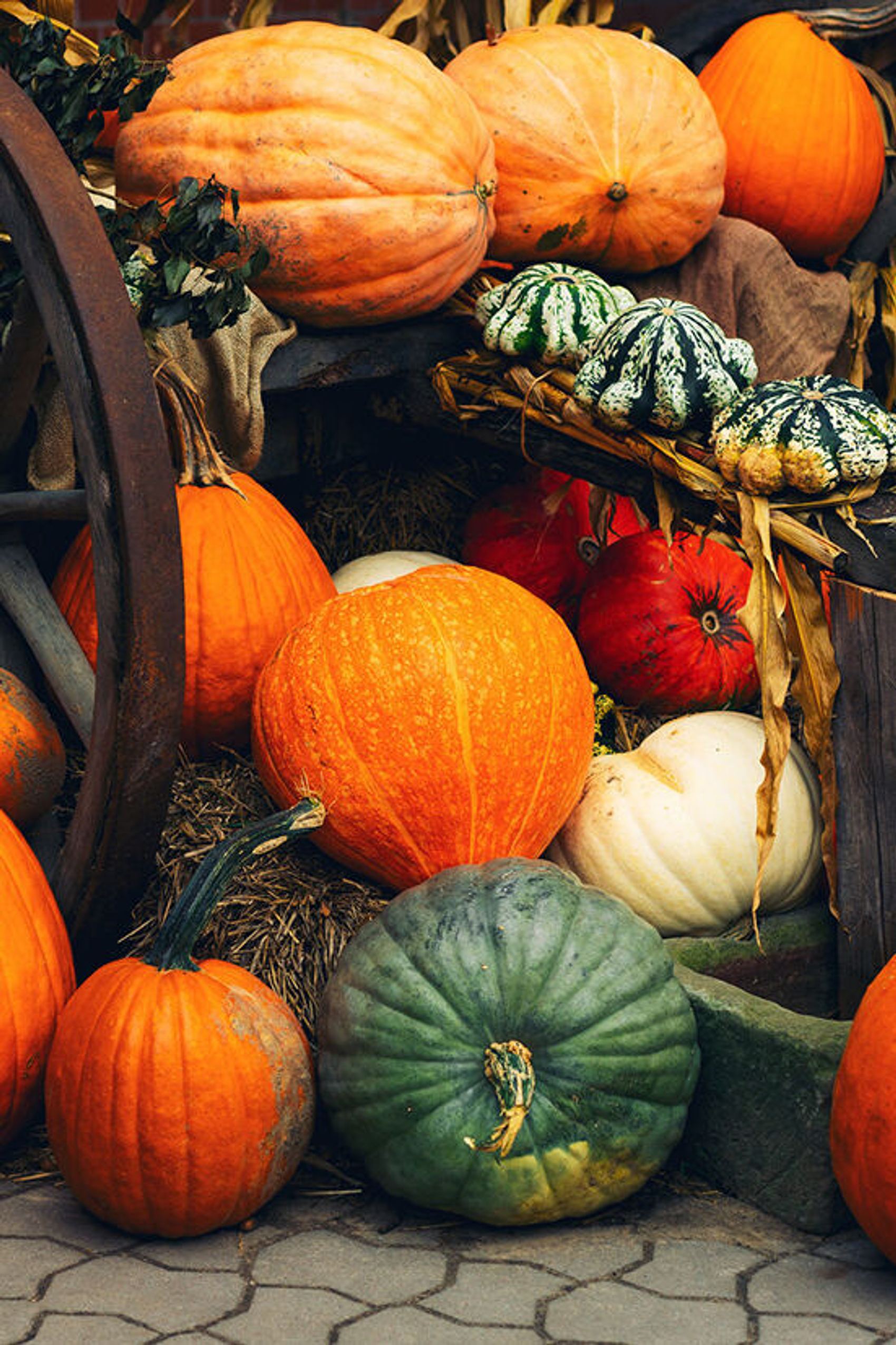 Bunte Herbst Kuerbisse Oktober Feiertage Motel One